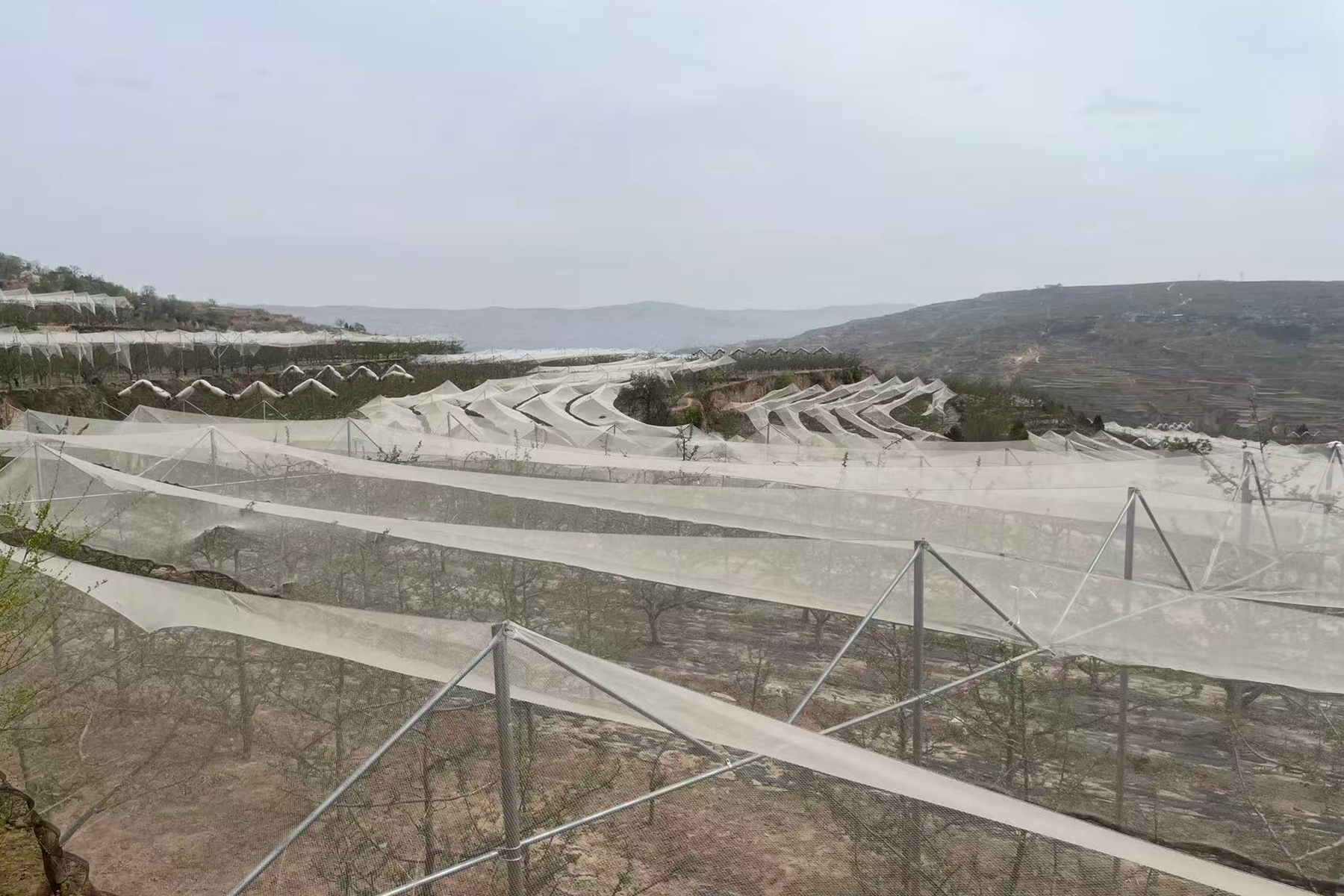 e7379d9648994ead83c5a5715025bdcc e7379d9648994ead83c5a5715025bdcc