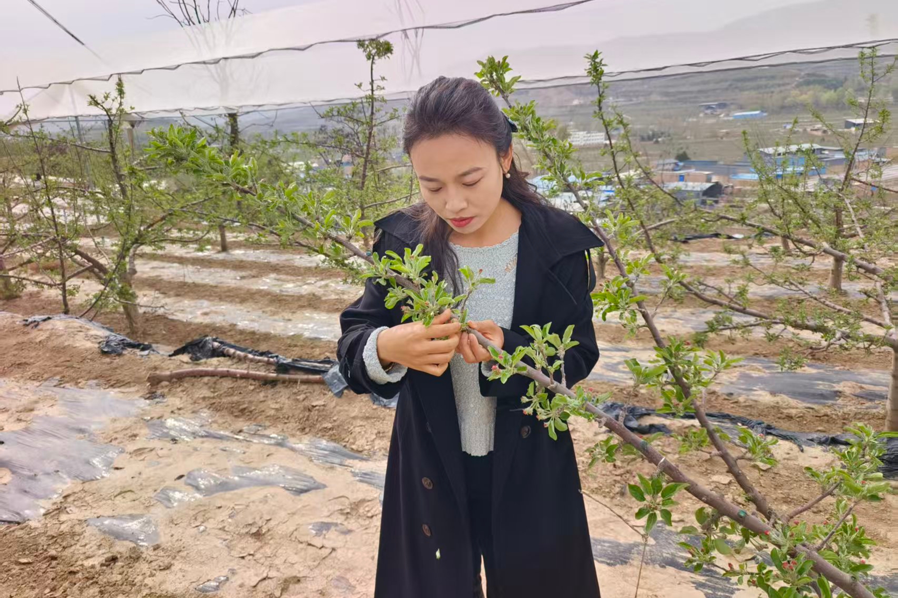 3ad177bbedeb45109d4e375b36256974 3ad177bbedeb45109d4e375b36256974