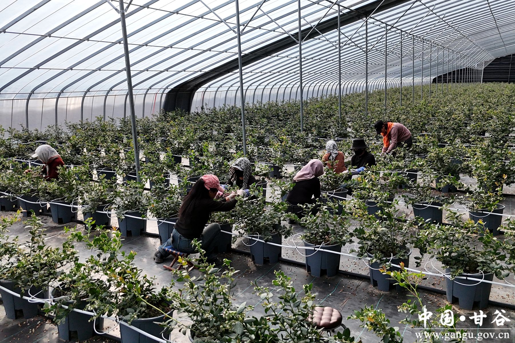 微信图片_20260205170625_161_58 微信图片_20260205170625_161_58