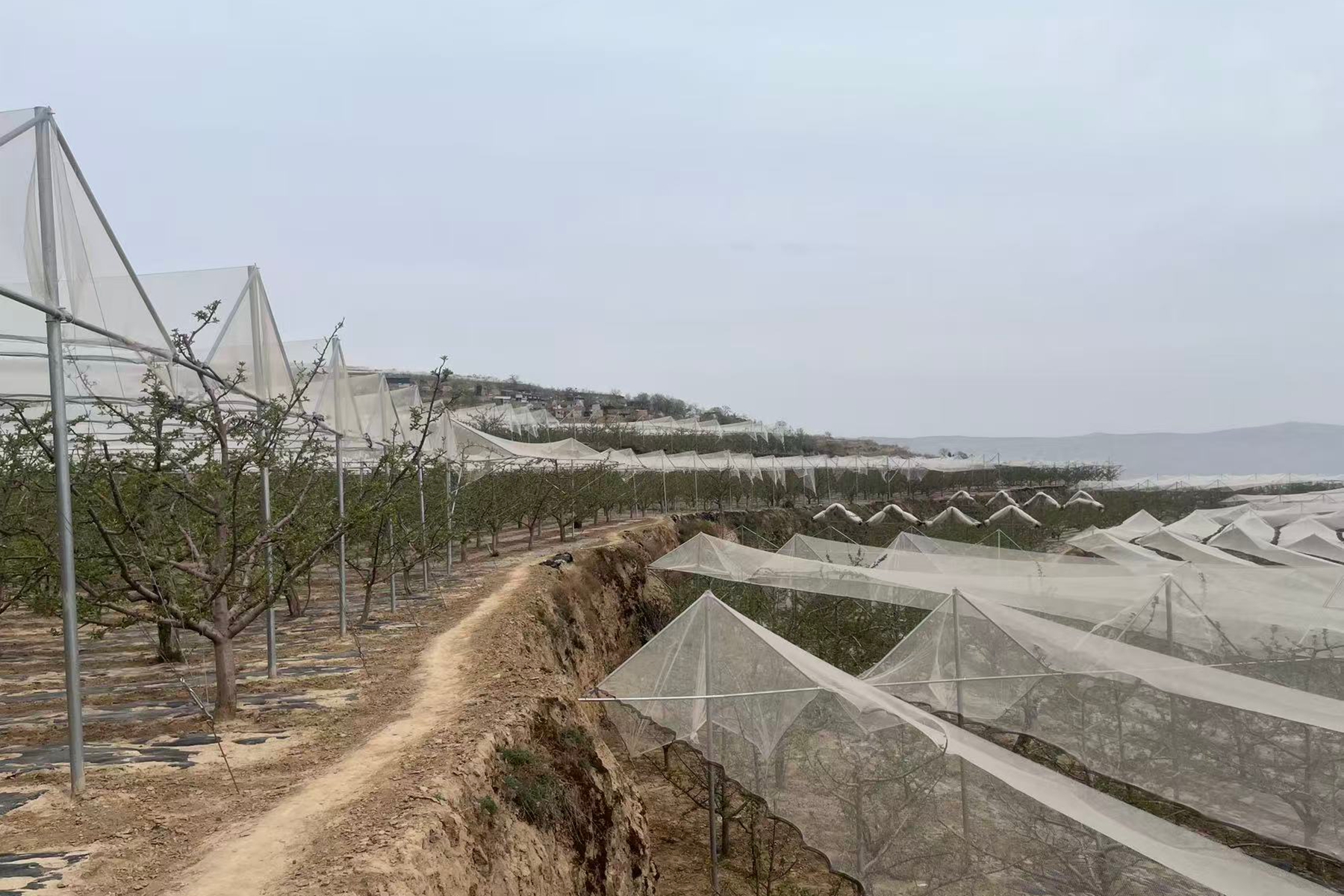 da706a1b23aa4813bc44b417c2223eb3 da706a1b23aa4813bc44b417c2223eb3