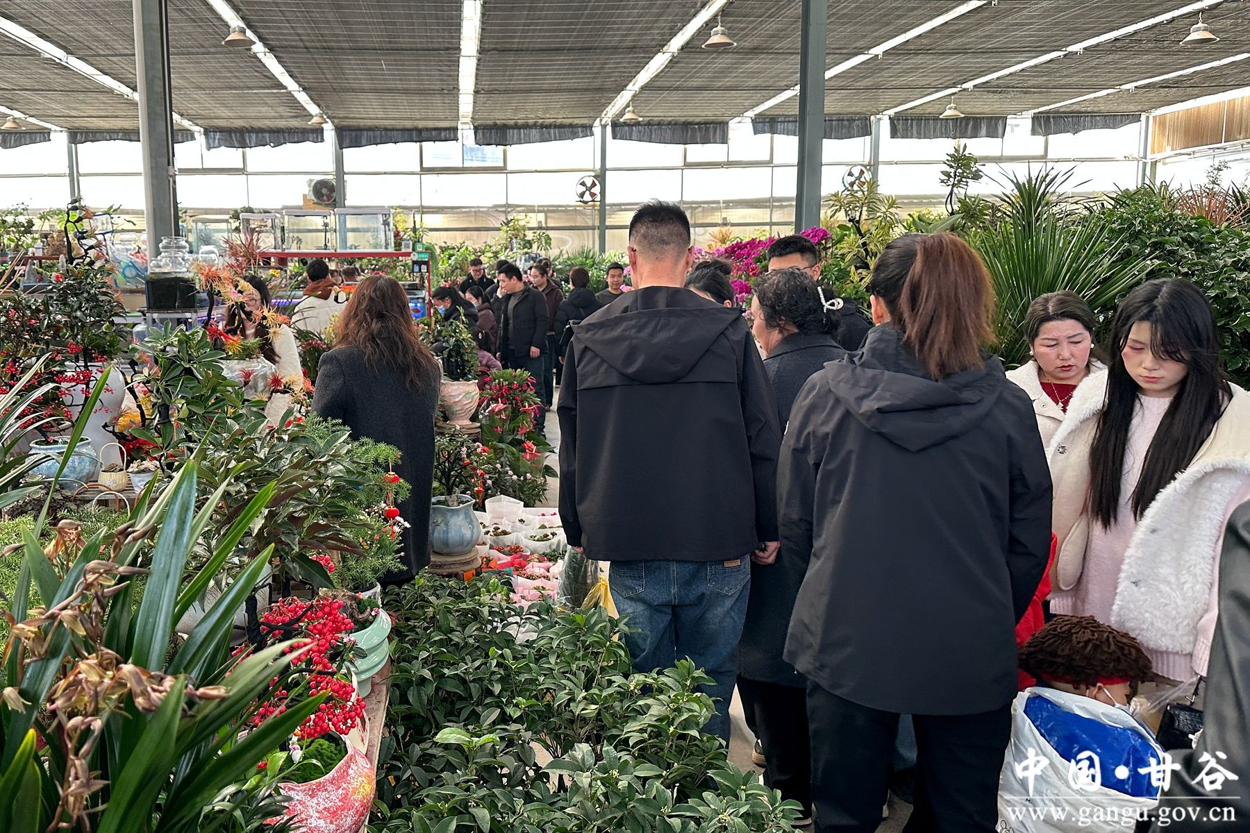 微信图片_20260214161002_11_8_副本 微信图片_20260214161002_11_8_副本