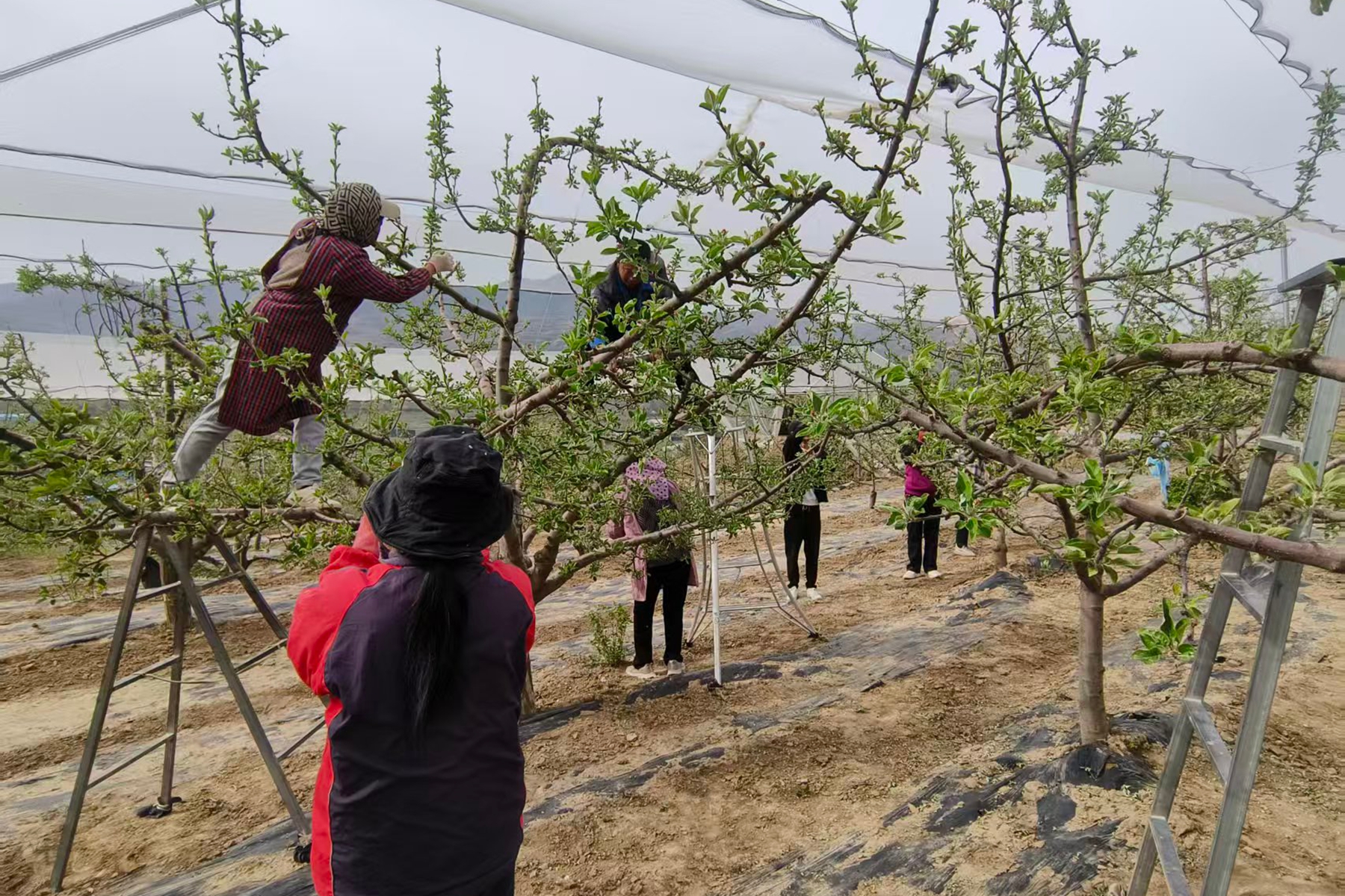 2ef1b474c99a43898226db8b7a236fca 2ef1b474c99a43898226db8b7a236fca