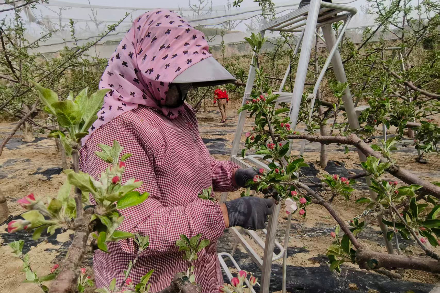 d7645e0c1d4e47efbc629a492f72e83b d7645e0c1d4e47efbc629a492f72e83b