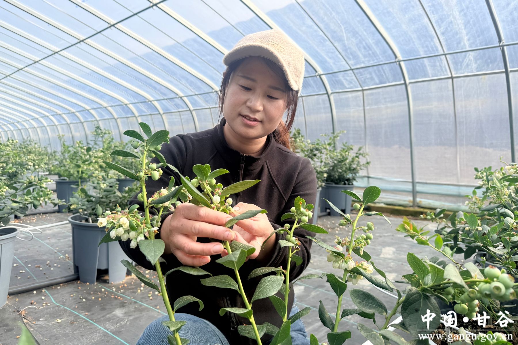 微信图片_20260205170641_165_58 微信图片_20260205170641_165_58