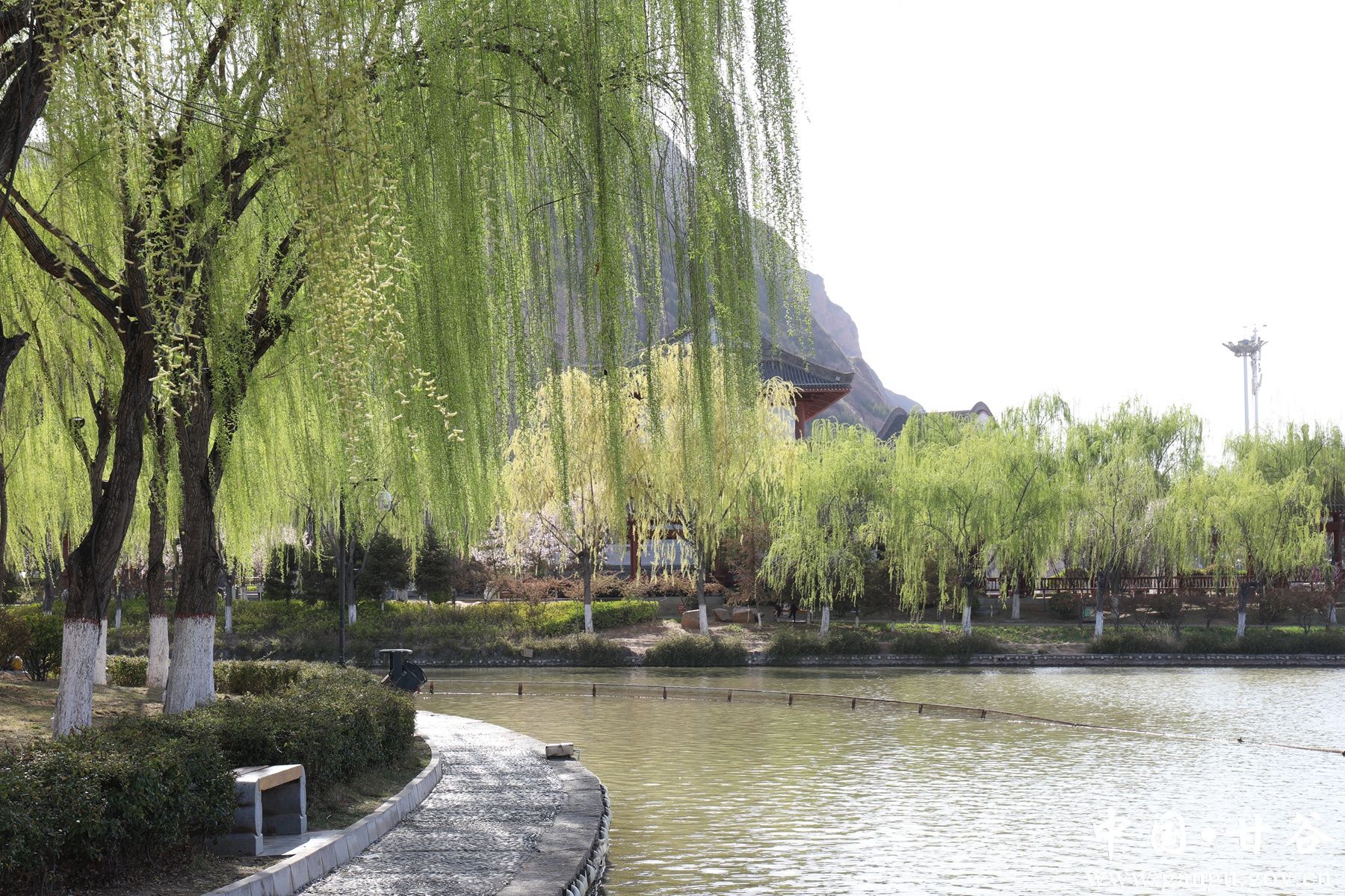 微信图片_20250408152759_副本 微信图片_20250408152759_副本