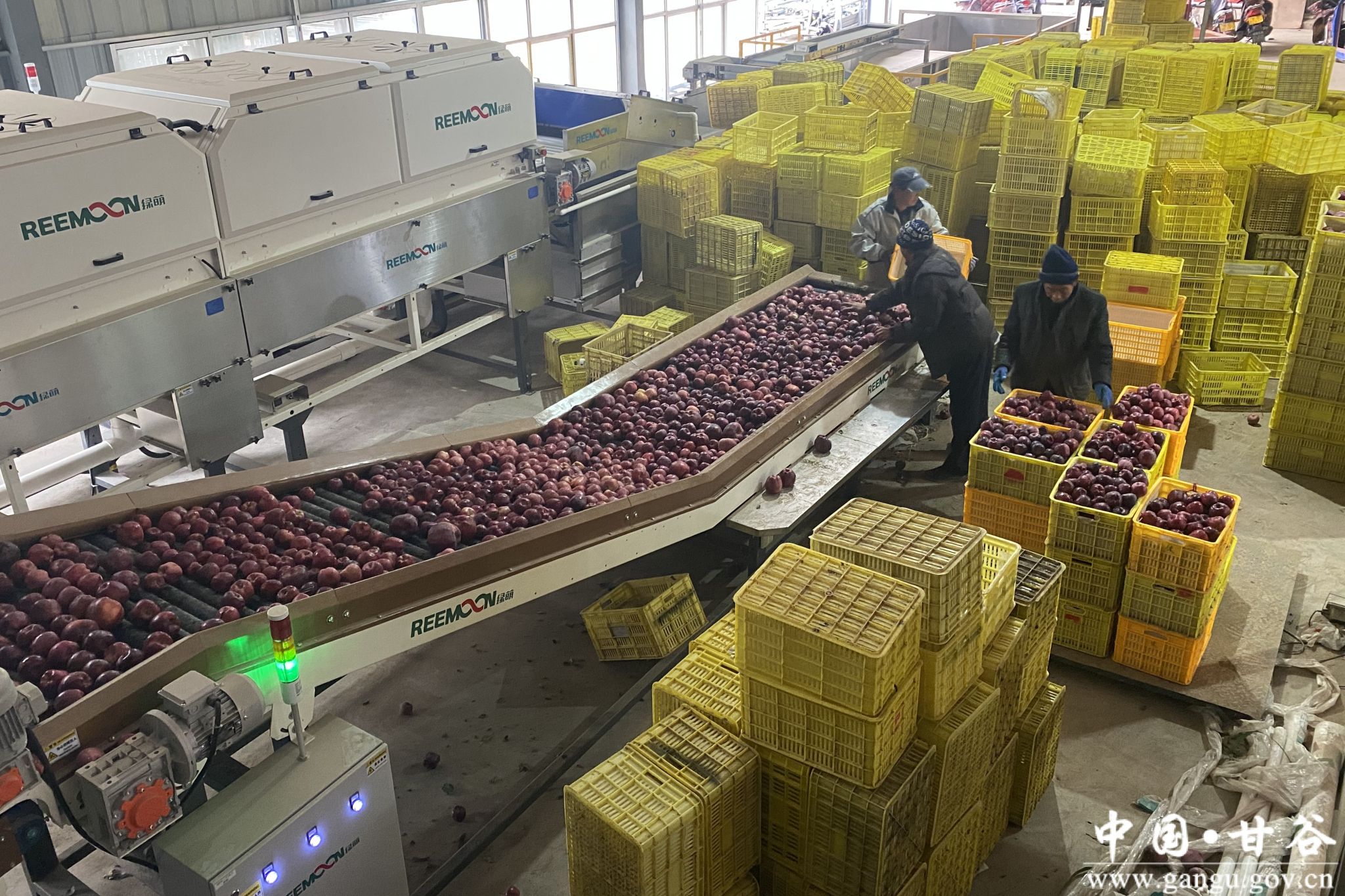 1704359710716019468.jpg 1704359710716019468.jpg