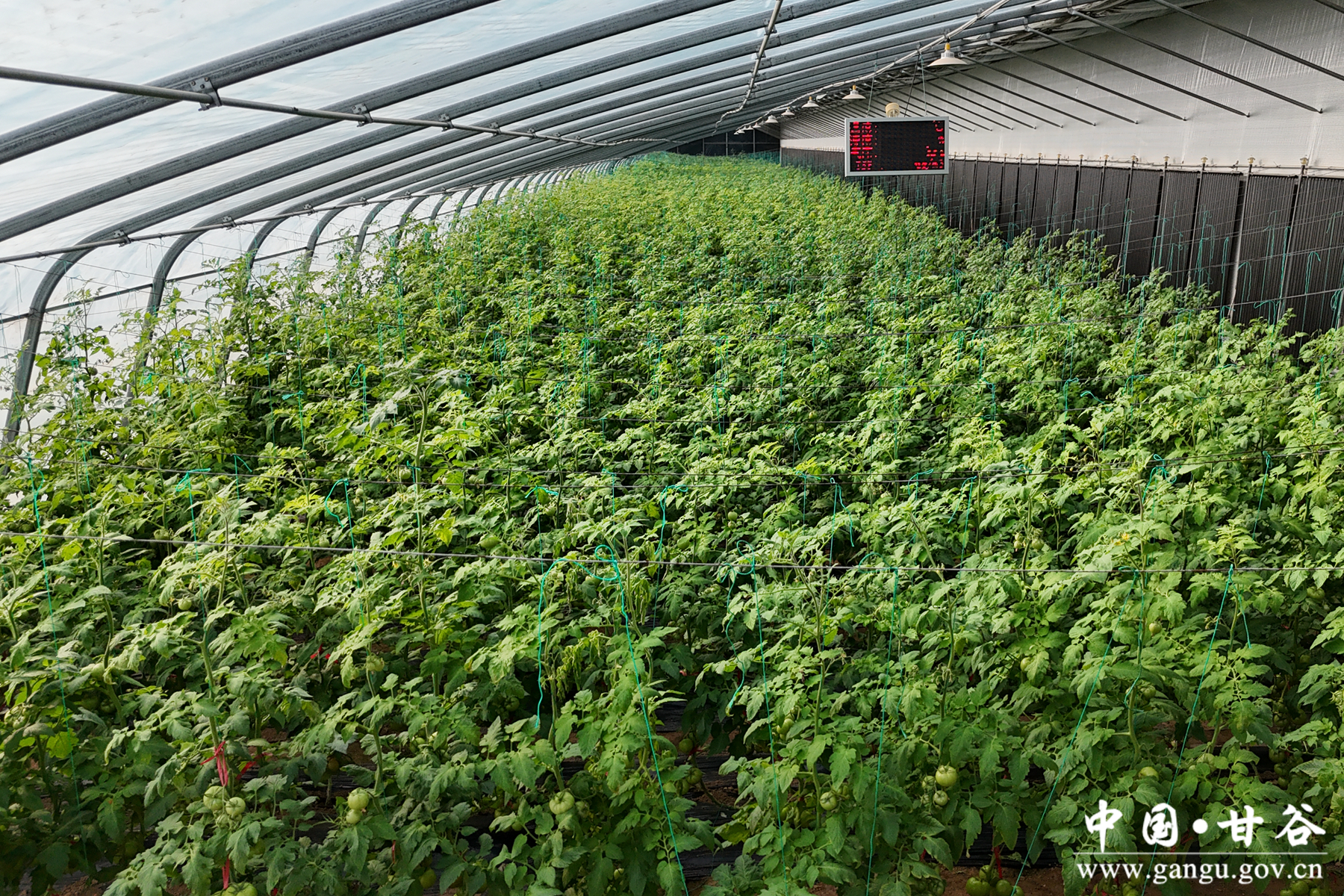 微信图片_20260206115641_23_148 微信图片_20260206115641_23_148