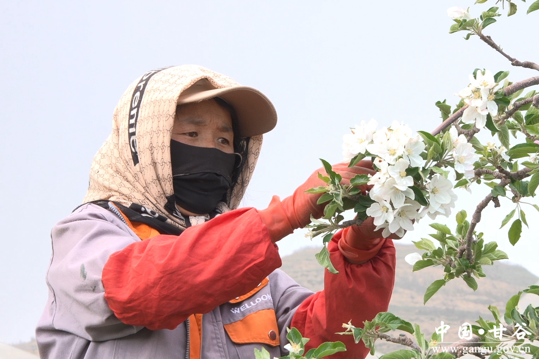 微信图片_20260424103638_25_148 微信图片_20260424103638_25_148