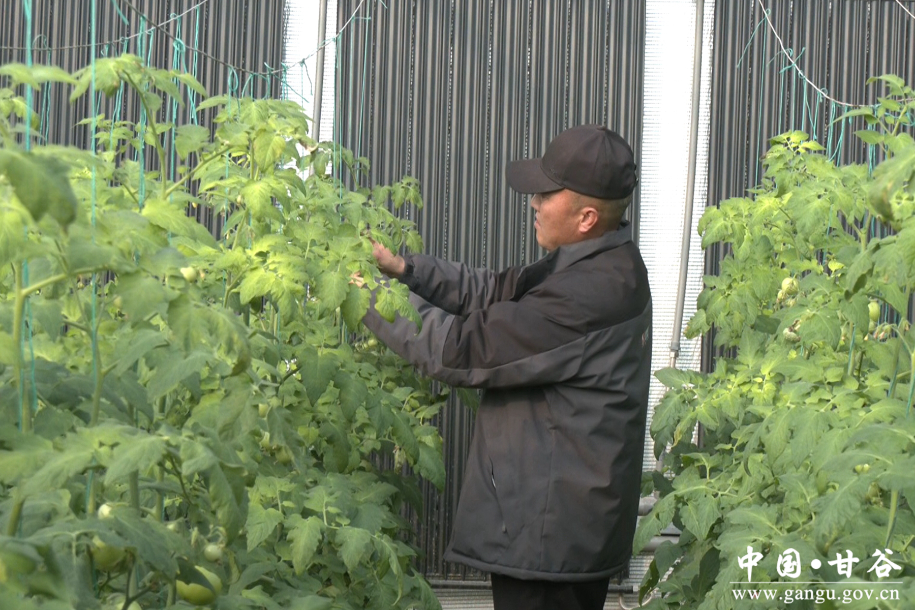 微信图片_20260206115629_15_148 微信图片_20260206115629_15_148