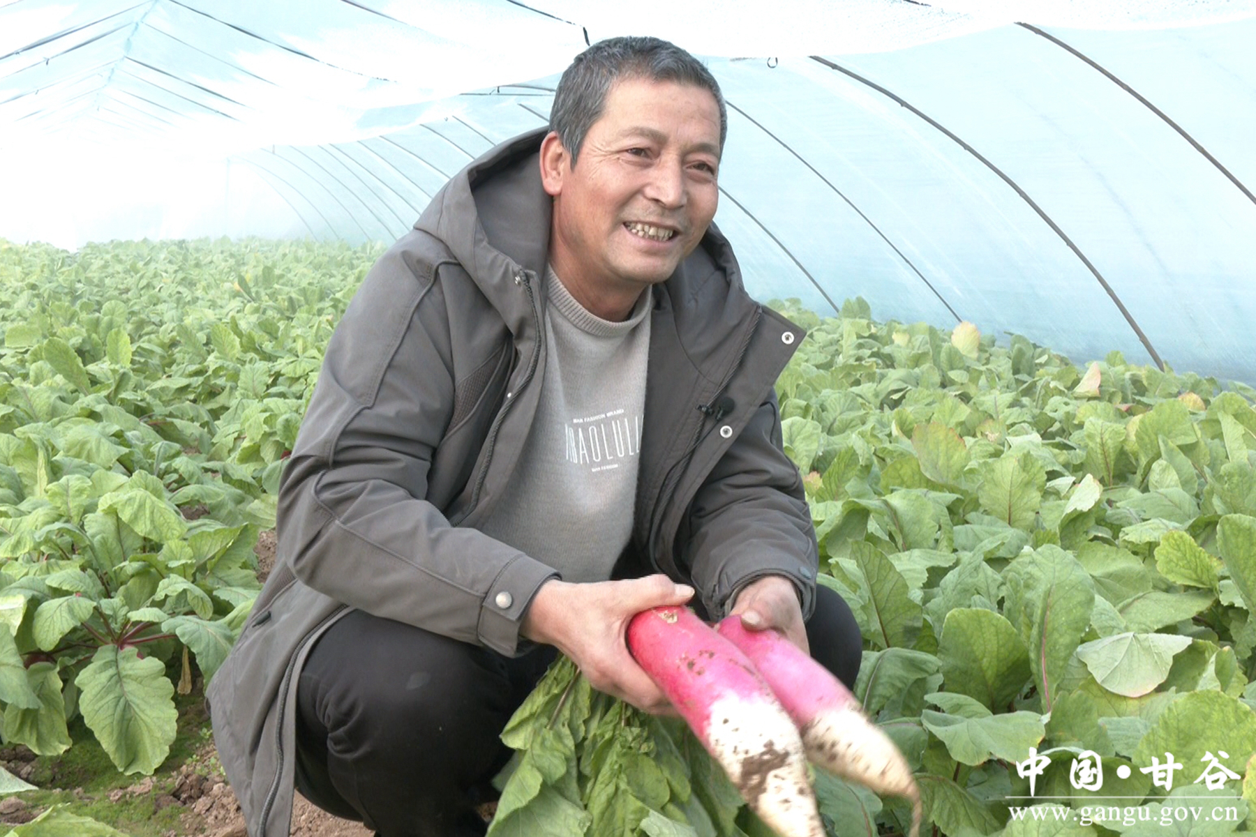 微信图片_20260206115634_19_148 微信图片_20260206115634_19_148