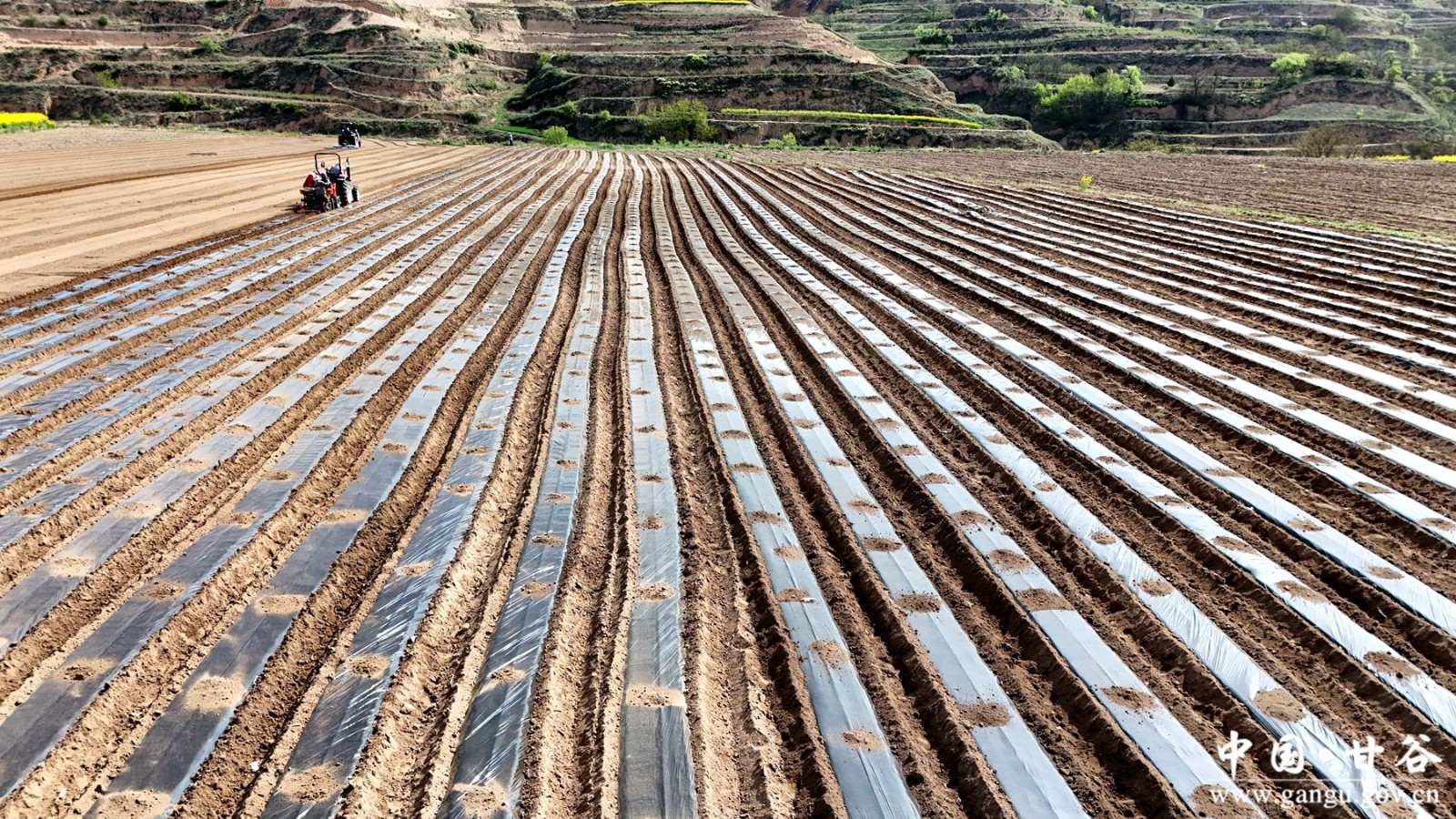 99db22b104e54878e007146fd67b8393 99db22b104e54878e007146fd67b8393