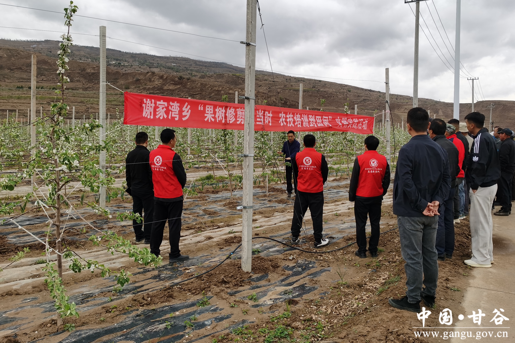 微信图片_20250421174518 微信图片_20250421174518