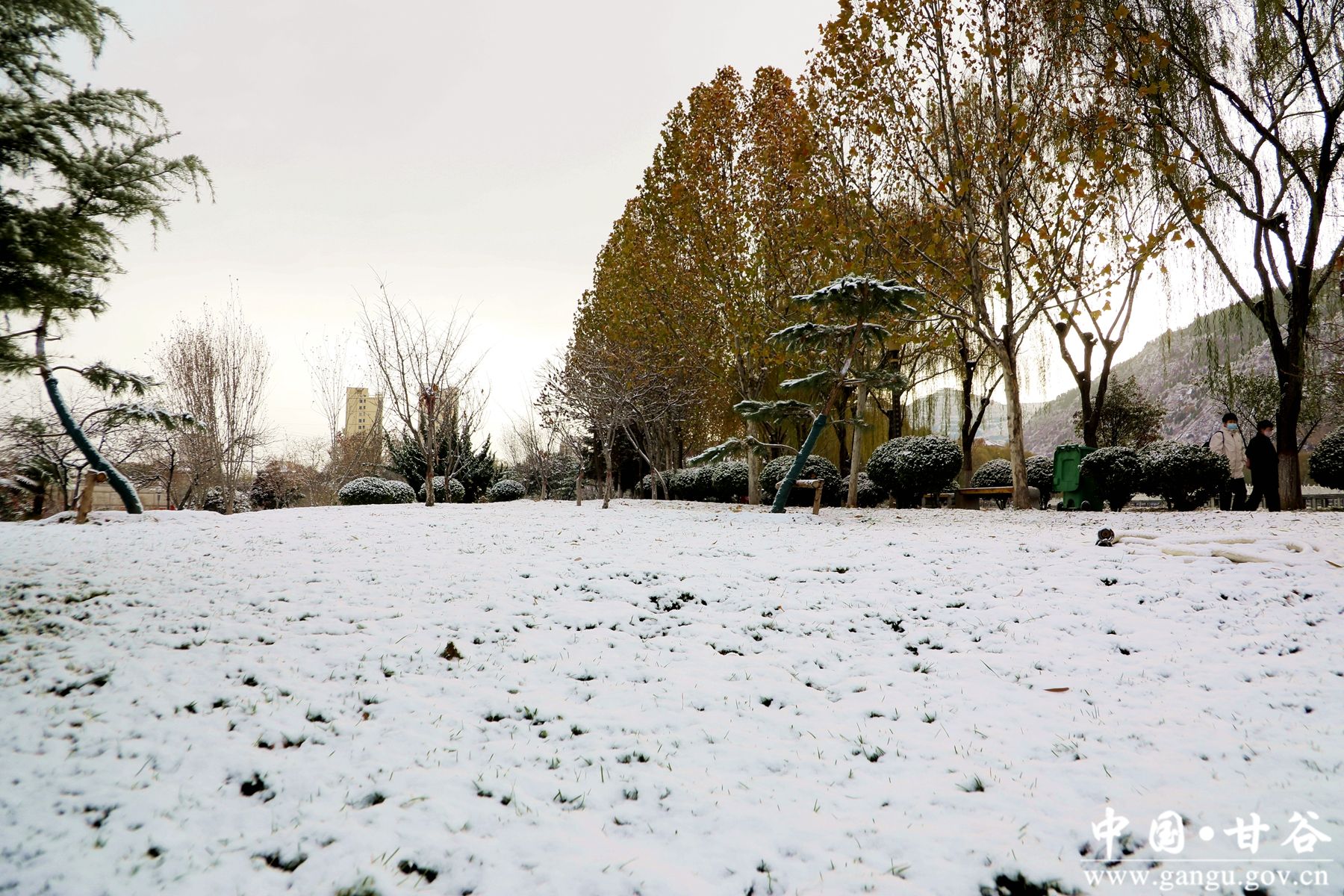 _MG_0426_副本_副本 _MG_0426_副本_副本