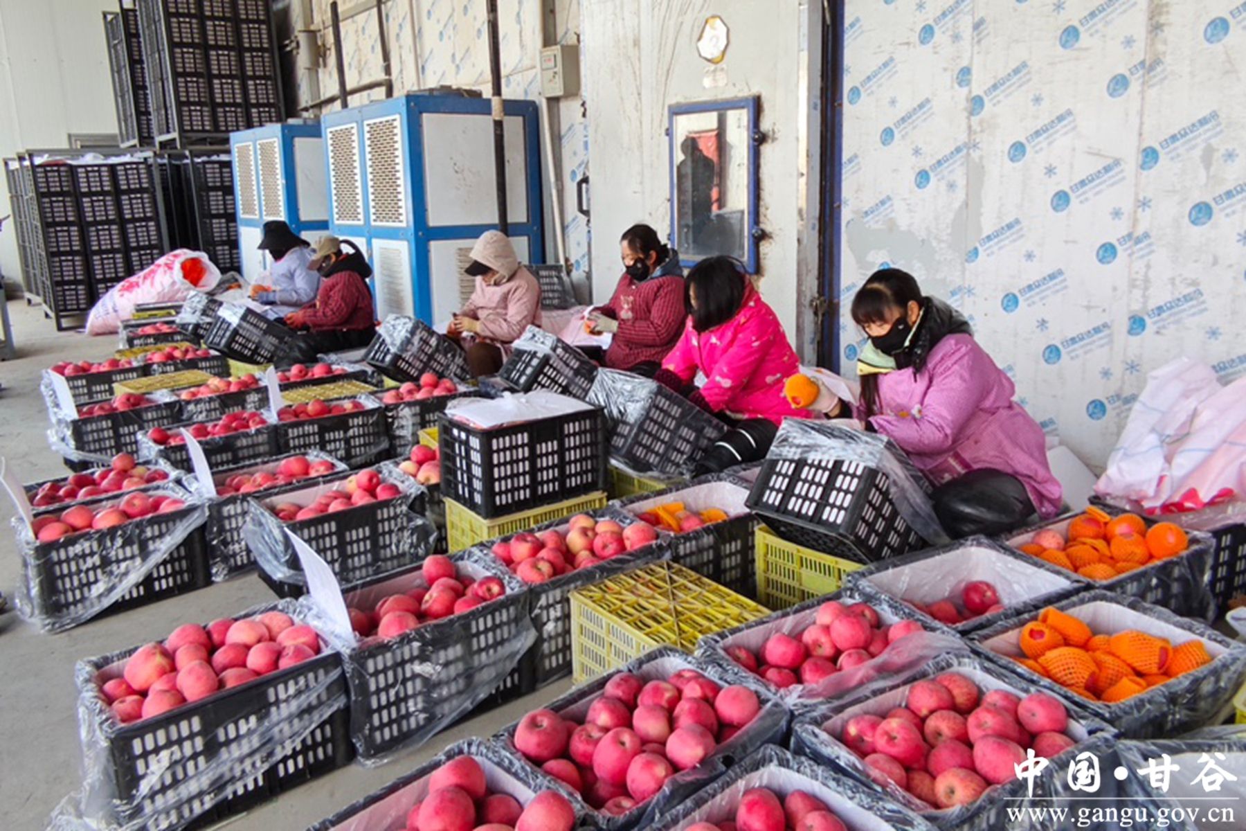 微信图片_20260122170359_328_10 微信图片_20260122170359_328_10