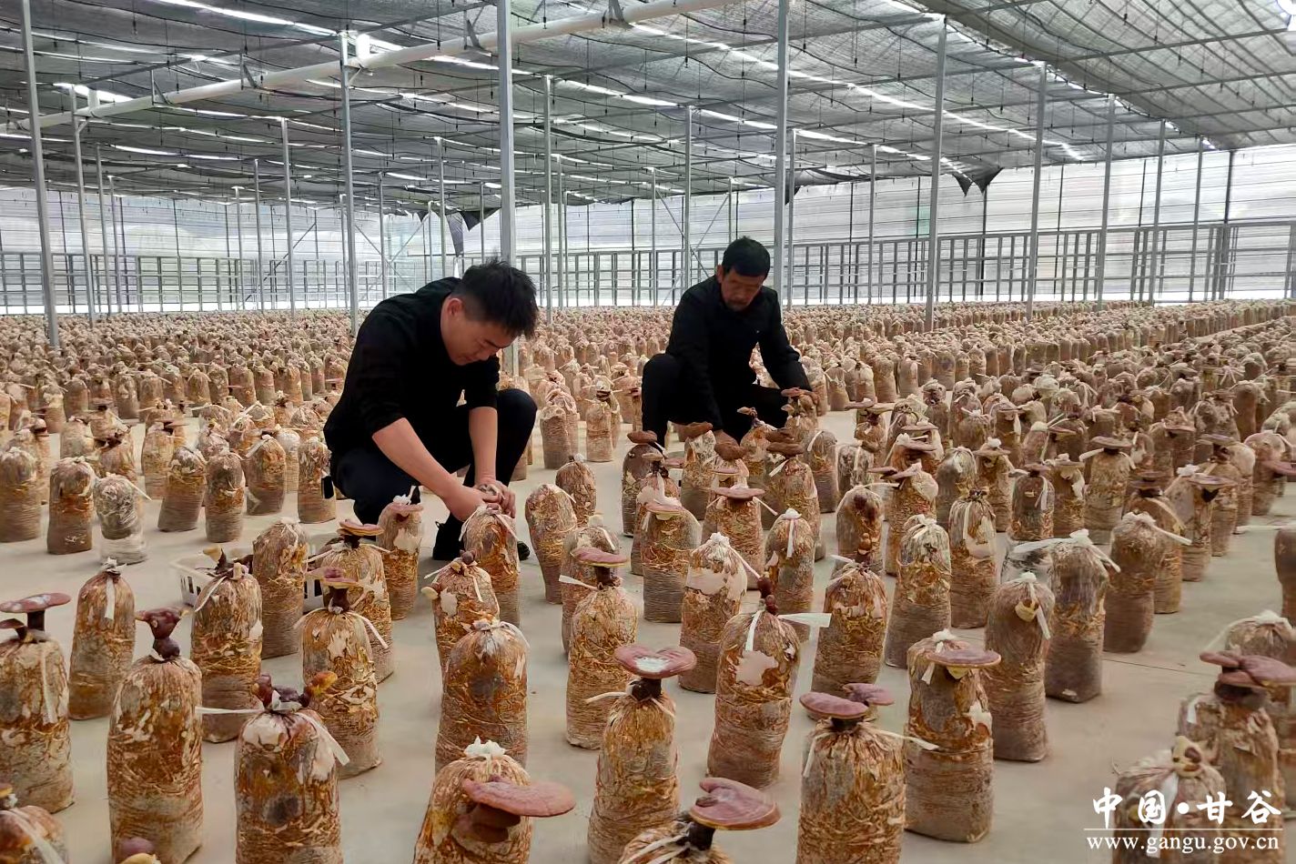 微信图片_20260122170158_310_10 微信图片_20260122170158_310_10