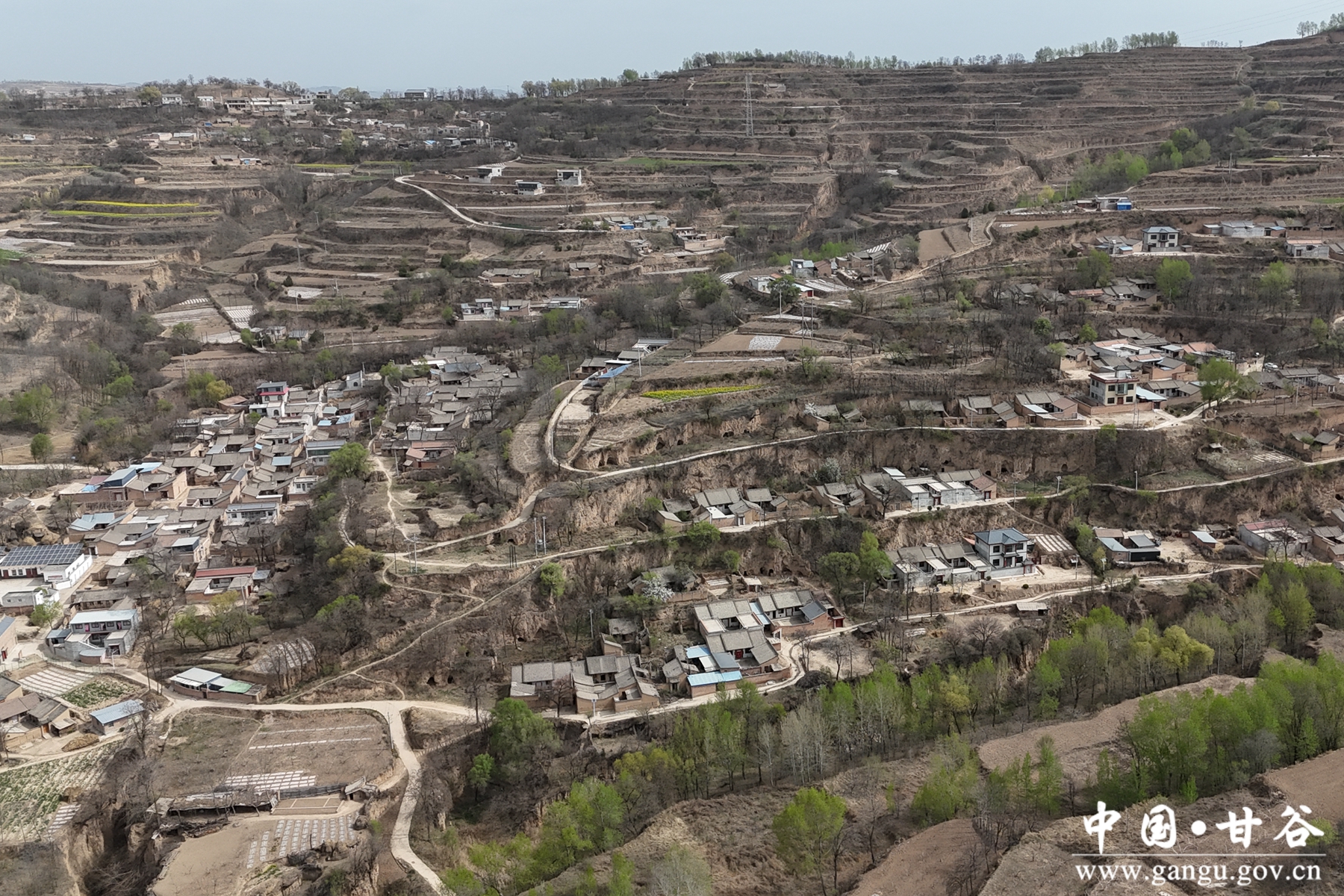 微信图片_20250416105537 微信图片_20250416105537