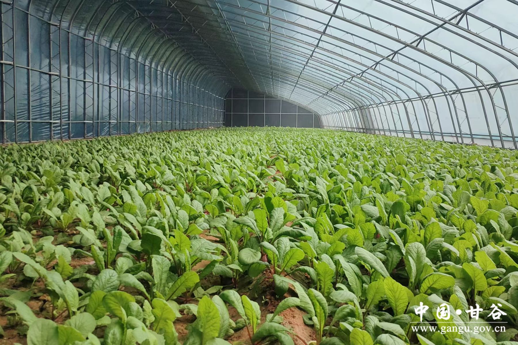 1709534523124007147.jpg 1709534523124007147.jpg