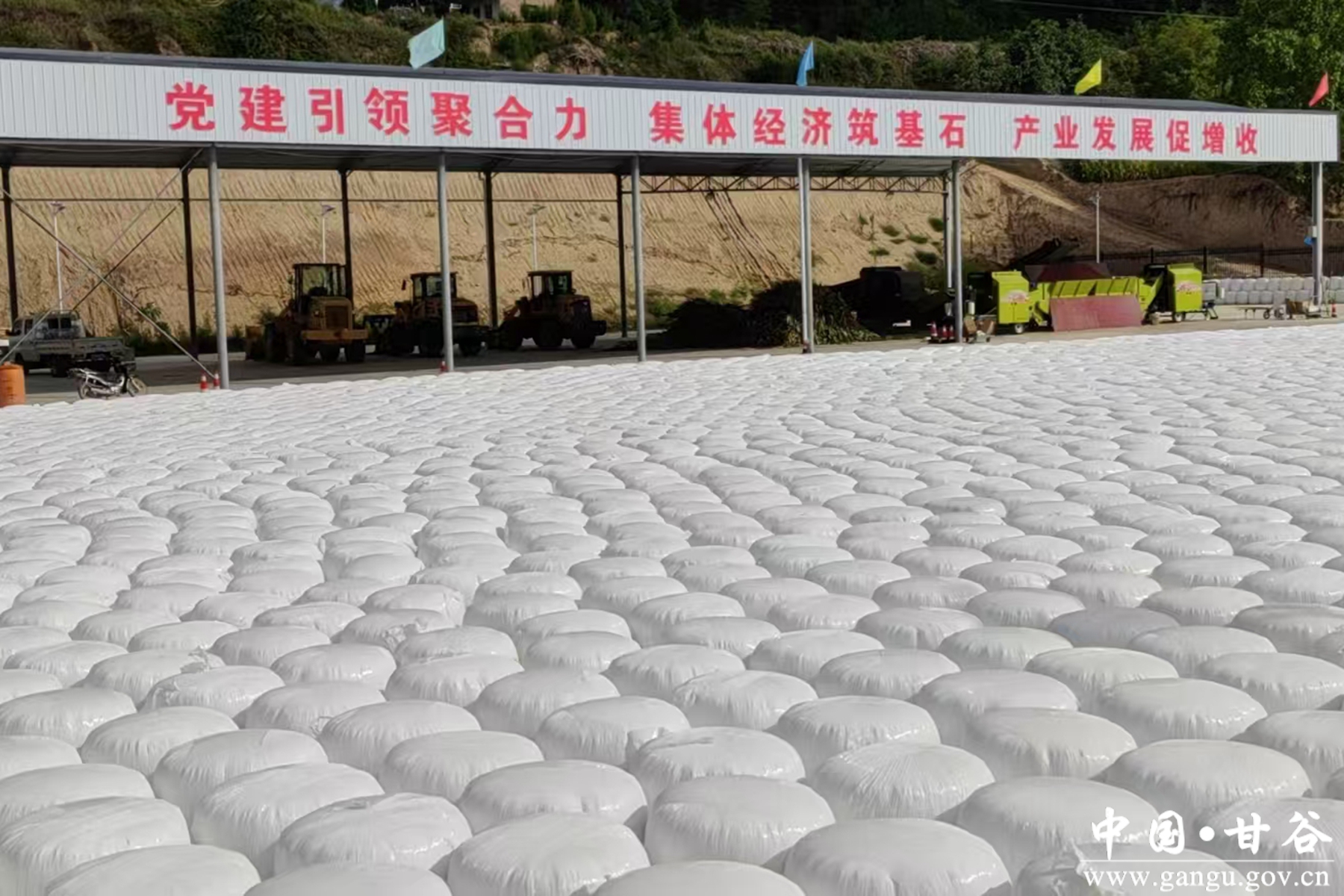 1724054229709013436 1724054229709013436