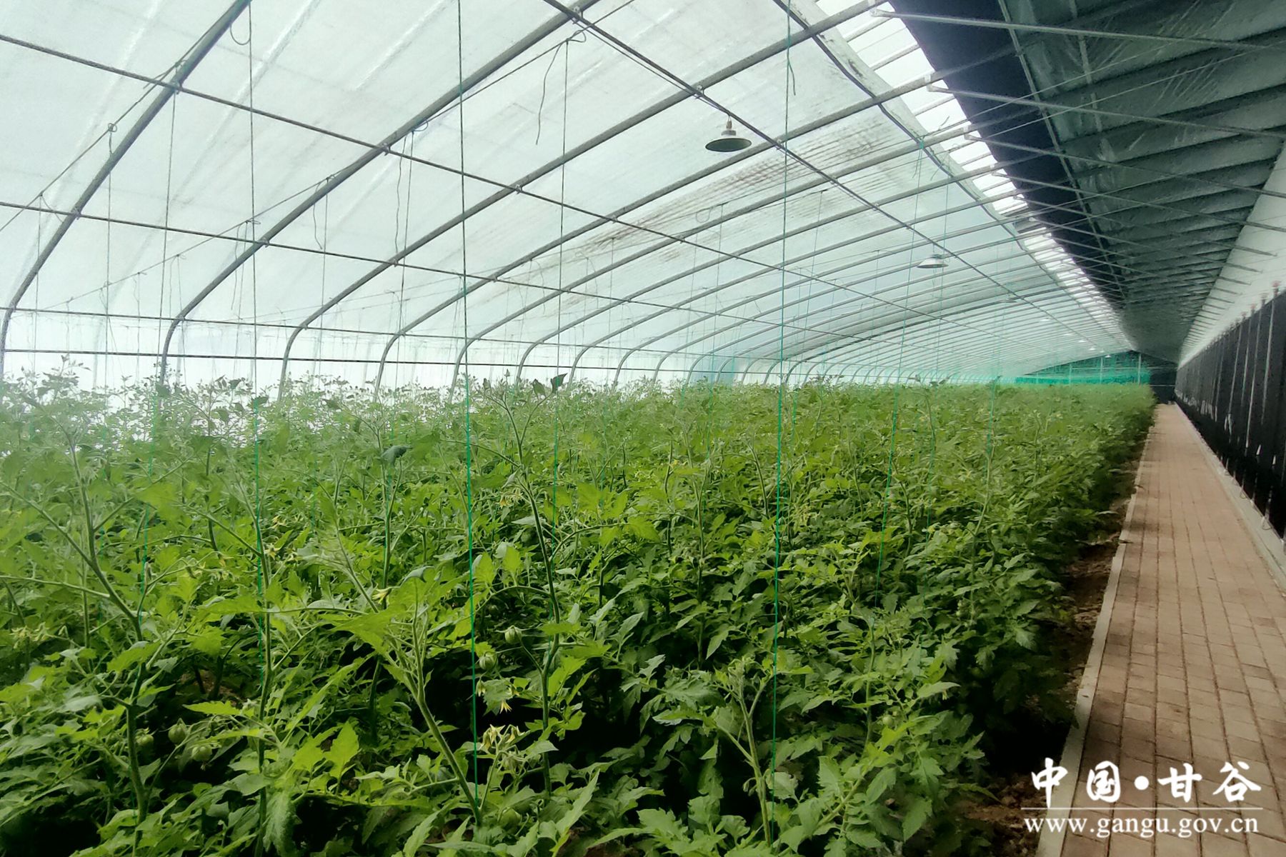 1709534485429010433.jpg 1709534485429010433.jpg