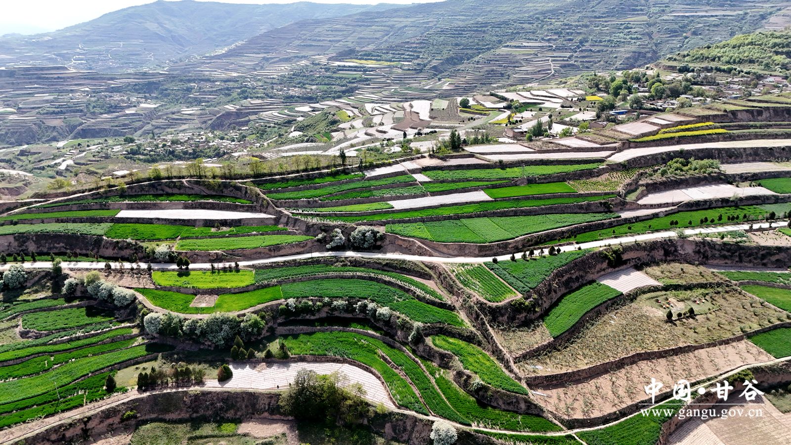 DJI_20251129080405_0106_D_副本 DJI_20251129080405_0106_D_副本
