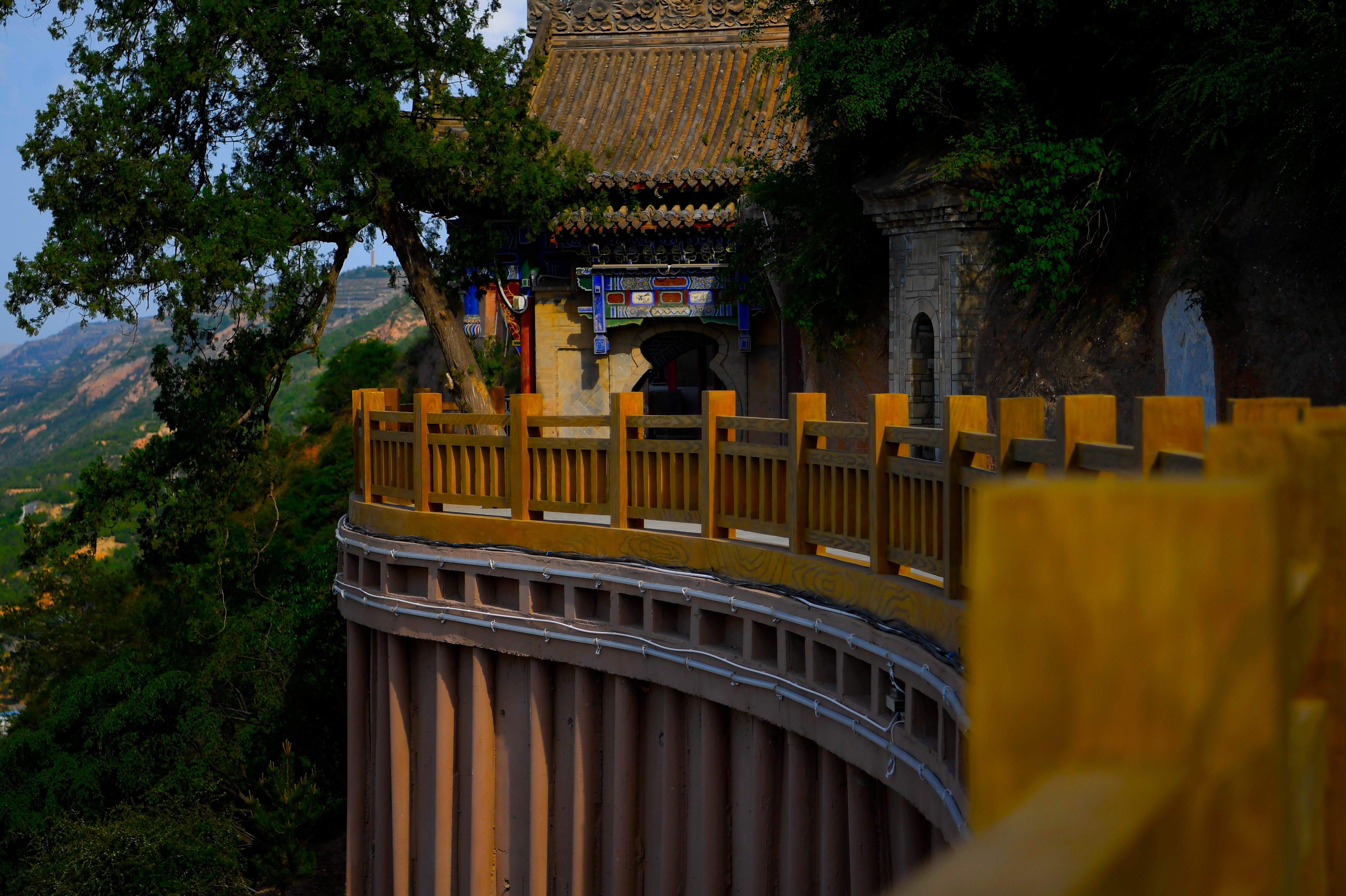 1695695645735050203.jpg 1695695645735050203.jpg