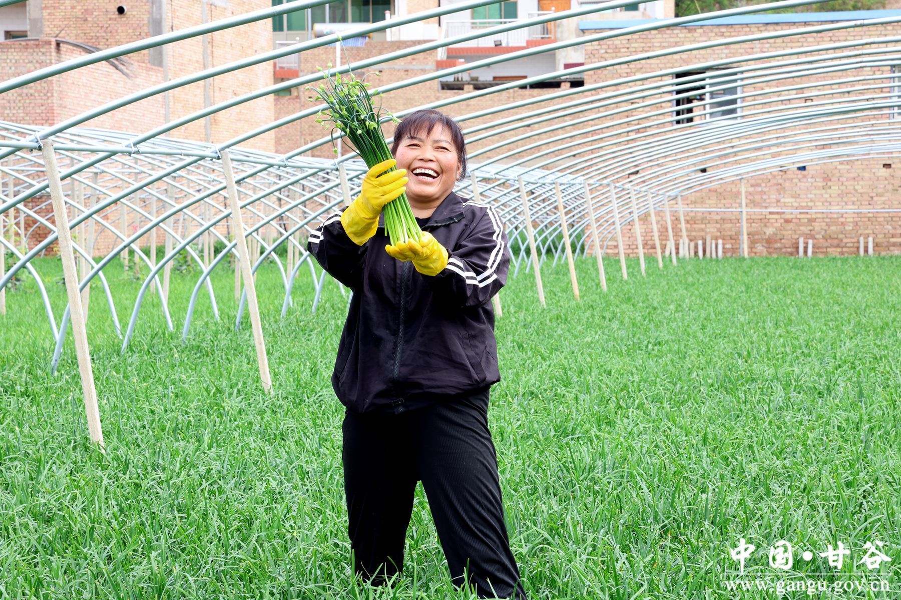 b3621f8abdfca172f683d4aff8aac3e b3621f8abdfca172f683d4aff8aac3e