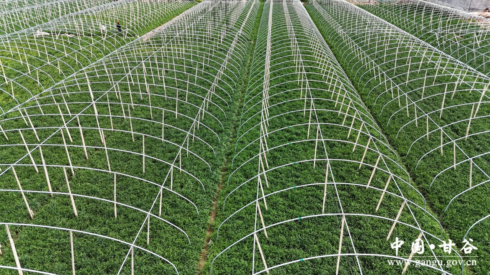 b900ccf521c08cdd031ff77448a4ccf b900ccf521c08cdd031ff77448a4ccf