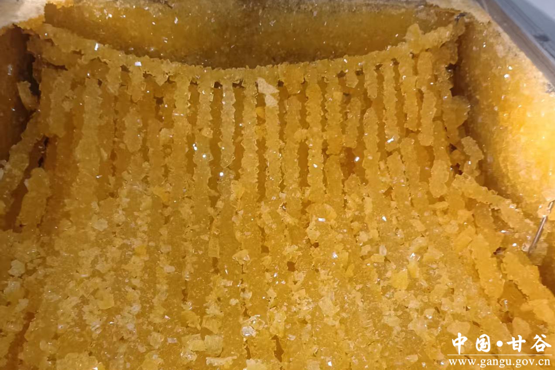 1.32_副本 1.32_副本