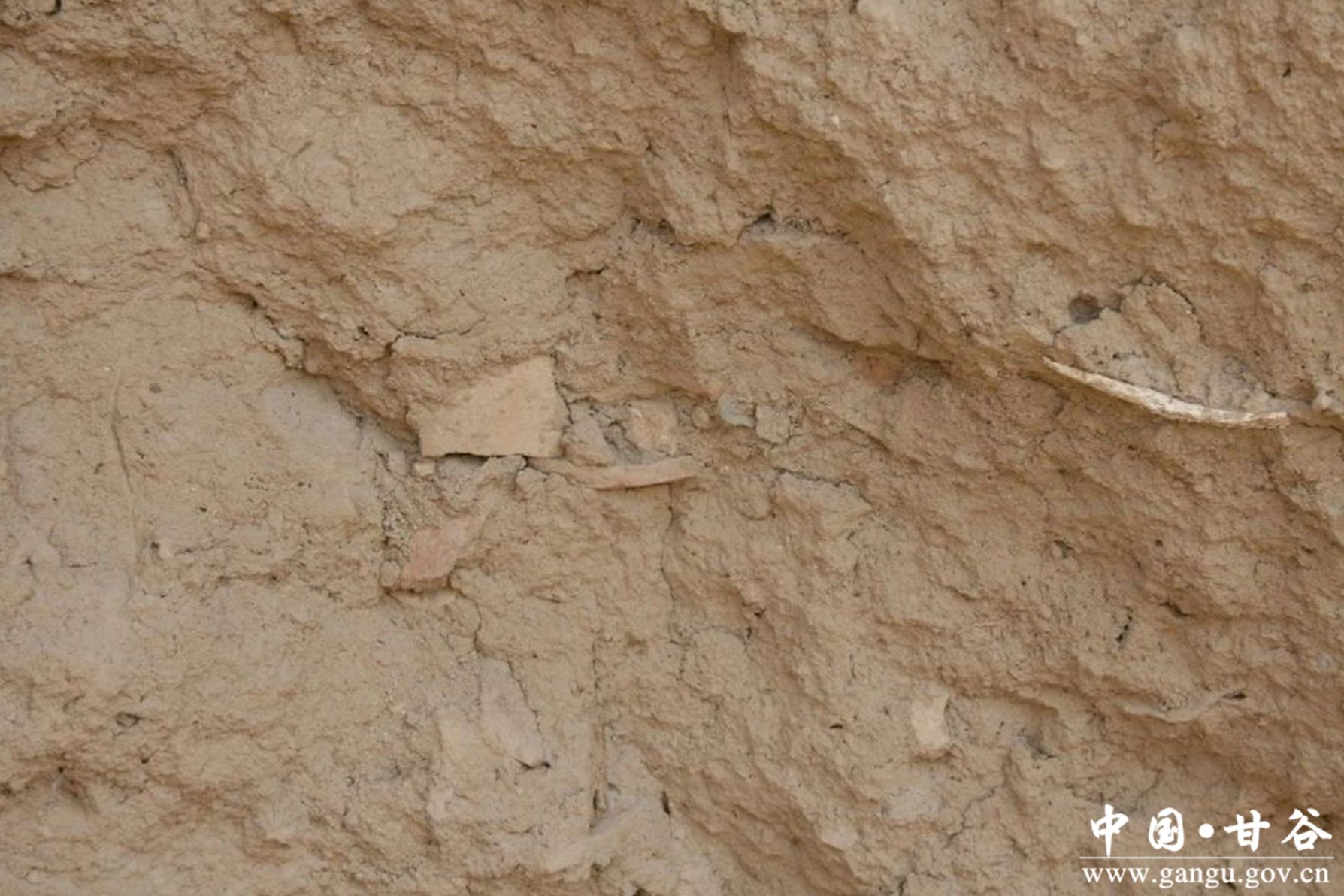 微信图片_20231124162446 微信图片_20231124162446