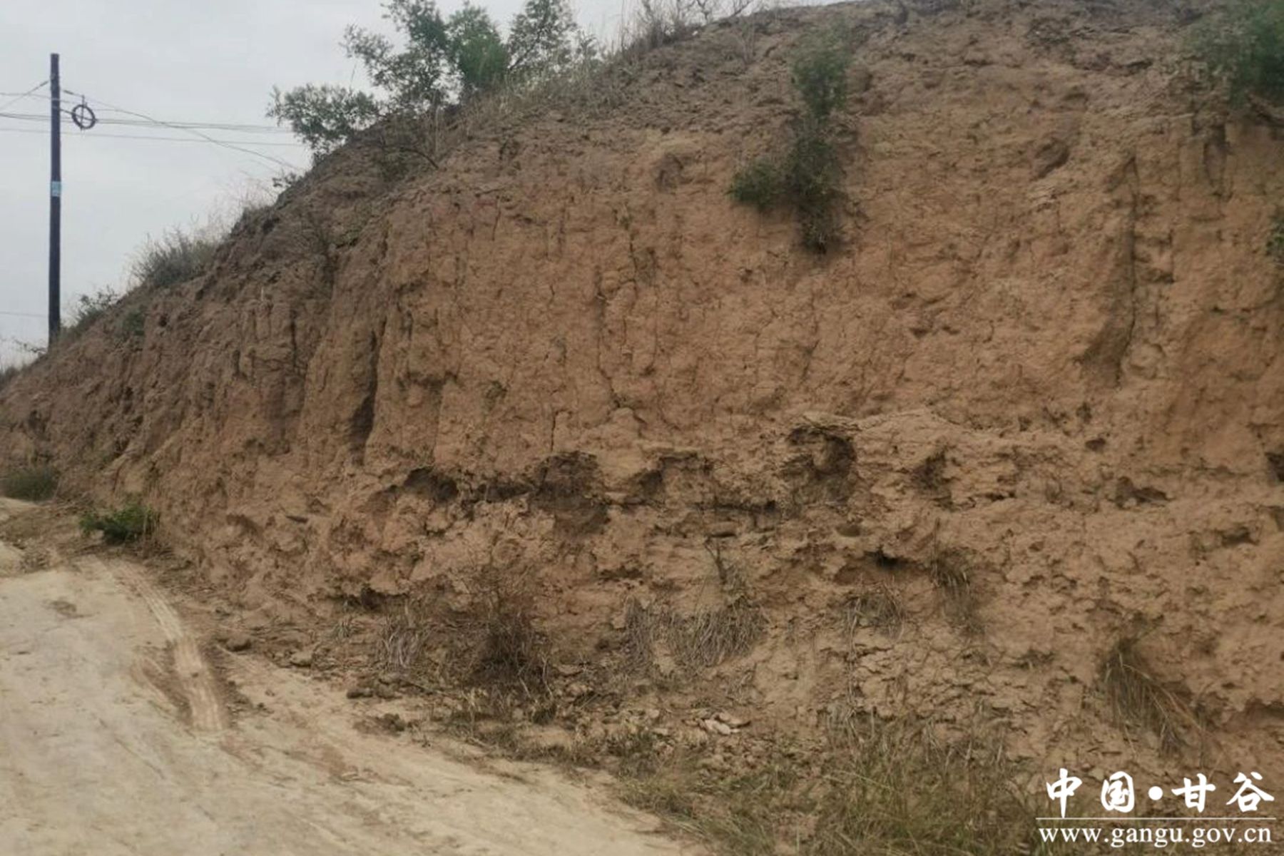 微信图片_20231124162453 微信图片_20231124162453