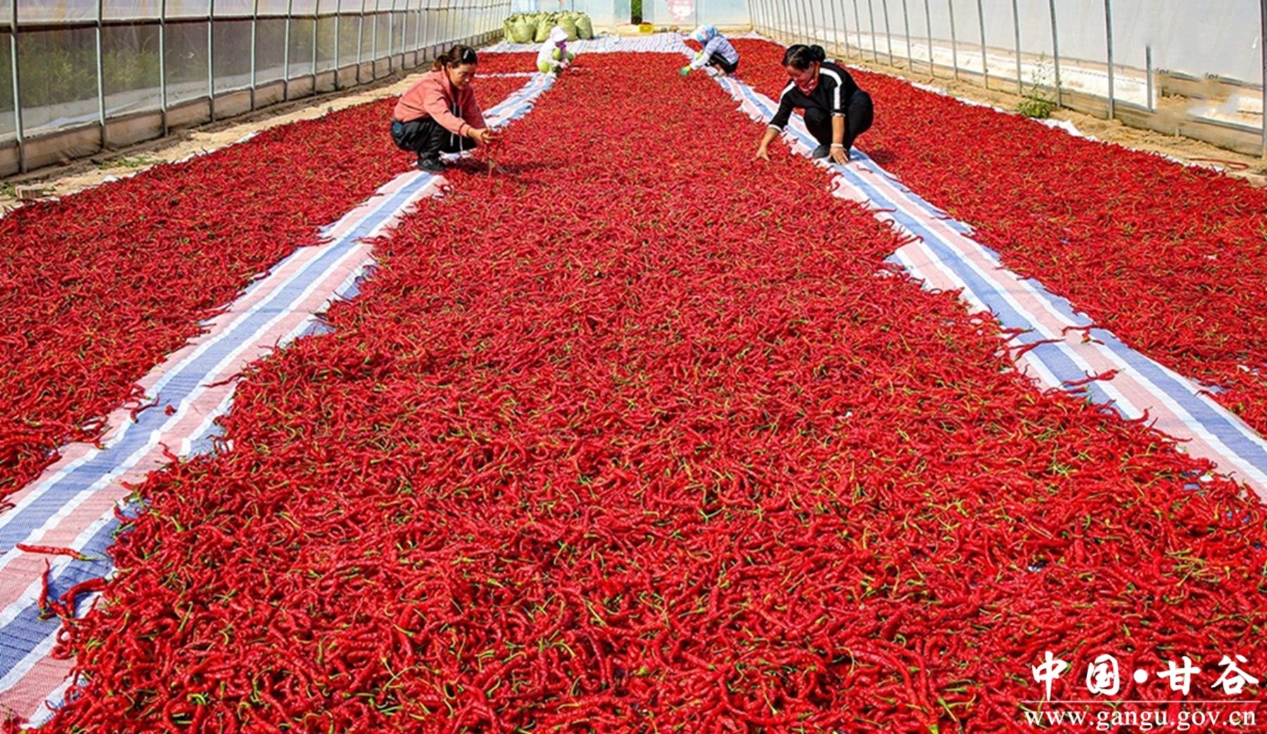 1680062790116054505_副本 1680062790116054505_副本