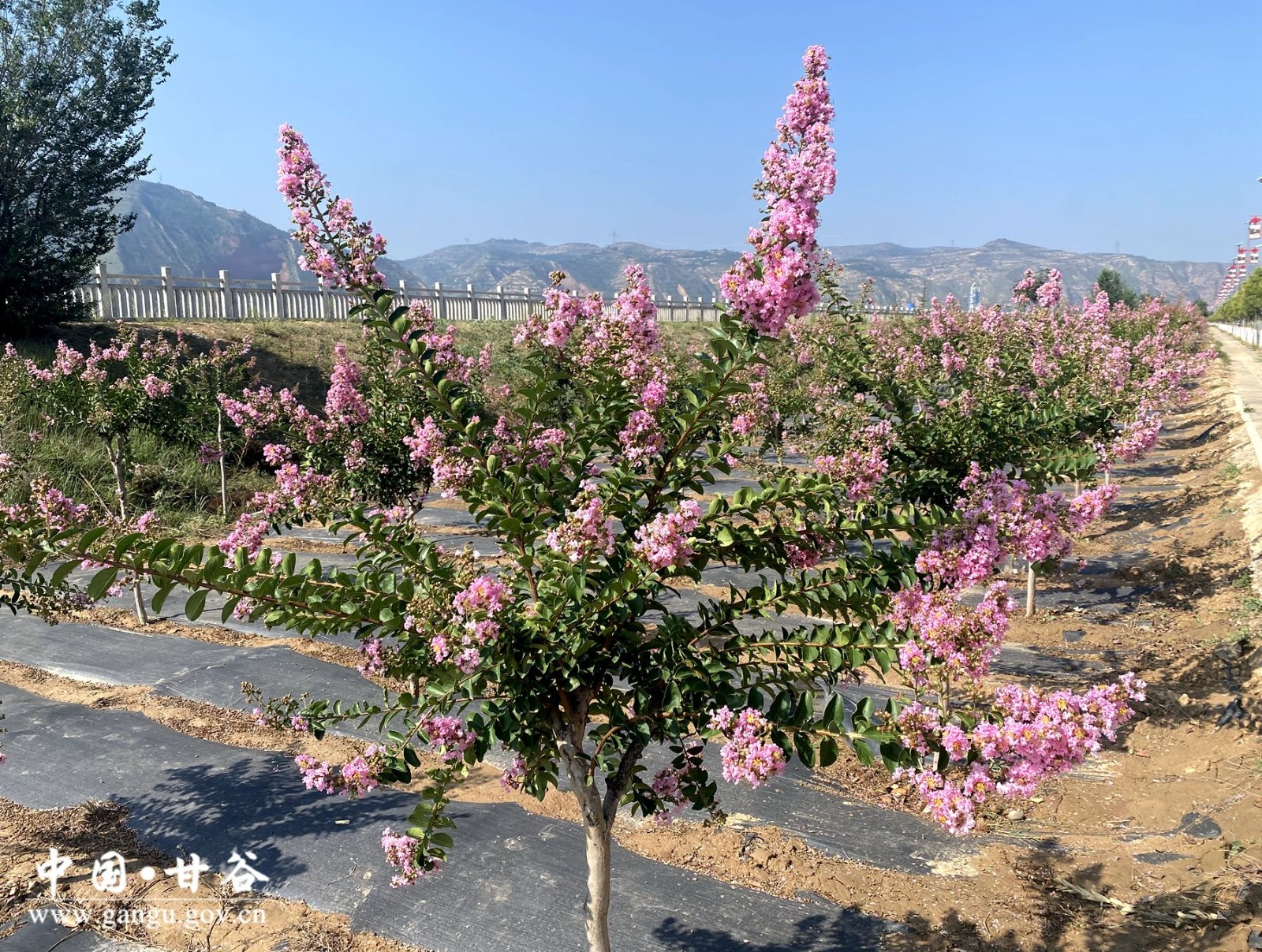 0bfaddd6a60a994aa04e8f676b6aecd 0bfaddd6a60a994aa04e8f676b6aecd