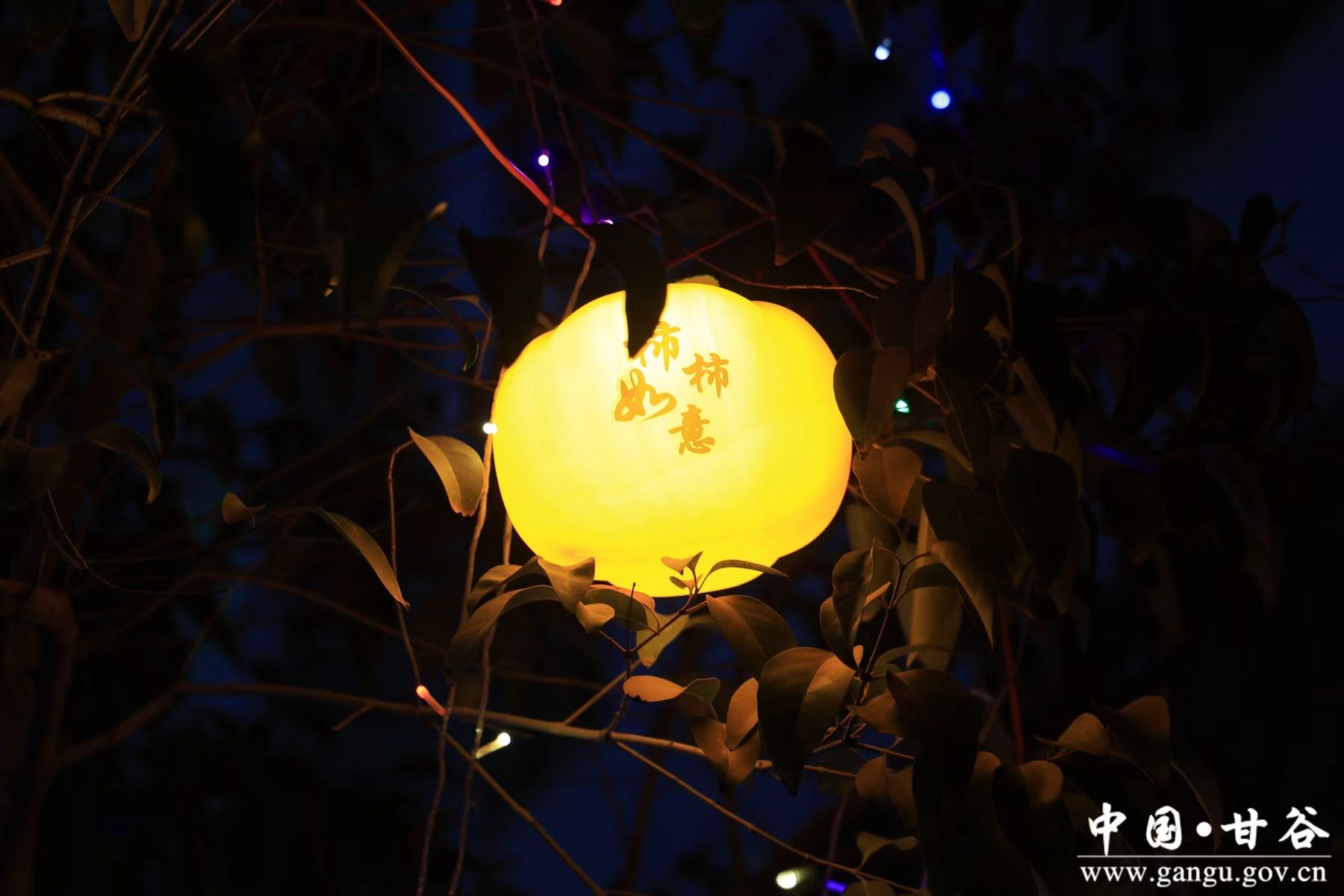 微信图片_20260211094045_407_67 微信图片_20260211094045_407_67