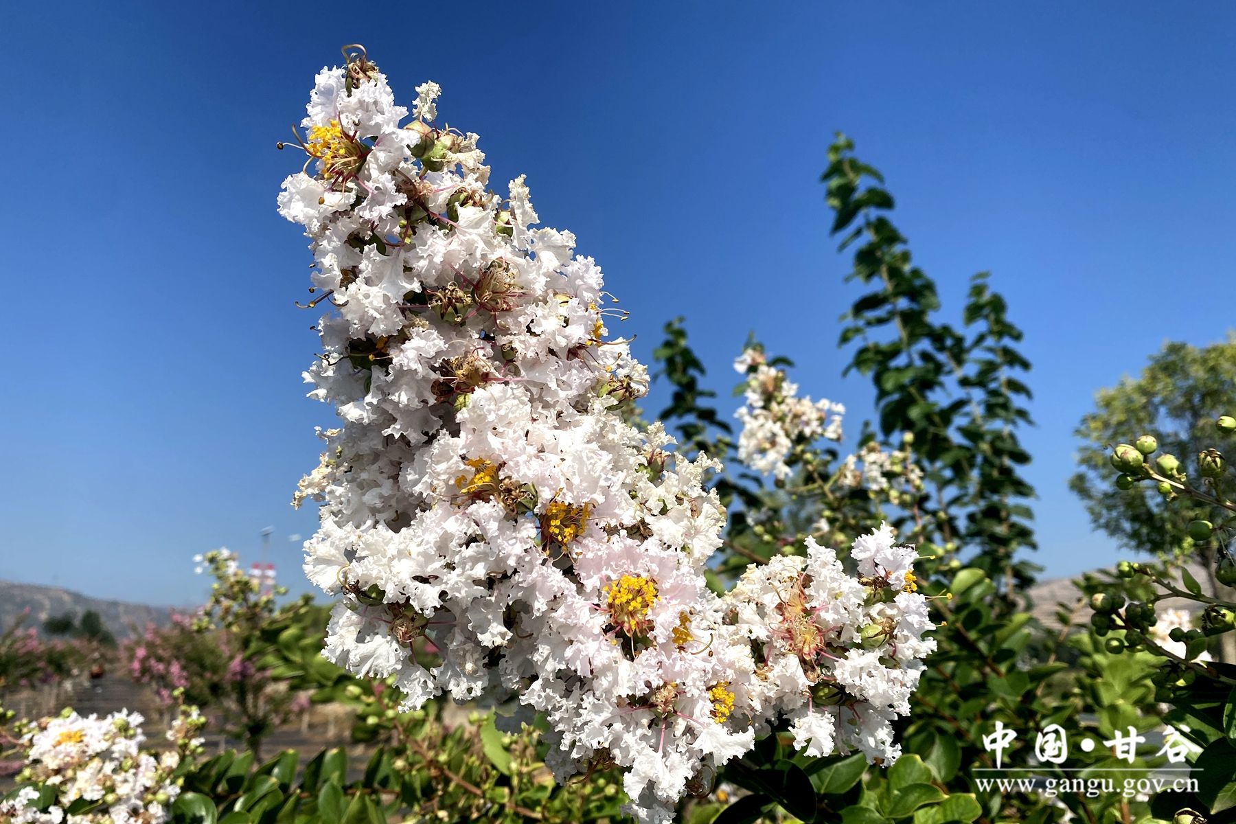 e8fd87de5cfc9cf6f4a645df33fd90e e8fd87de5cfc9cf6f4a645df33fd90e