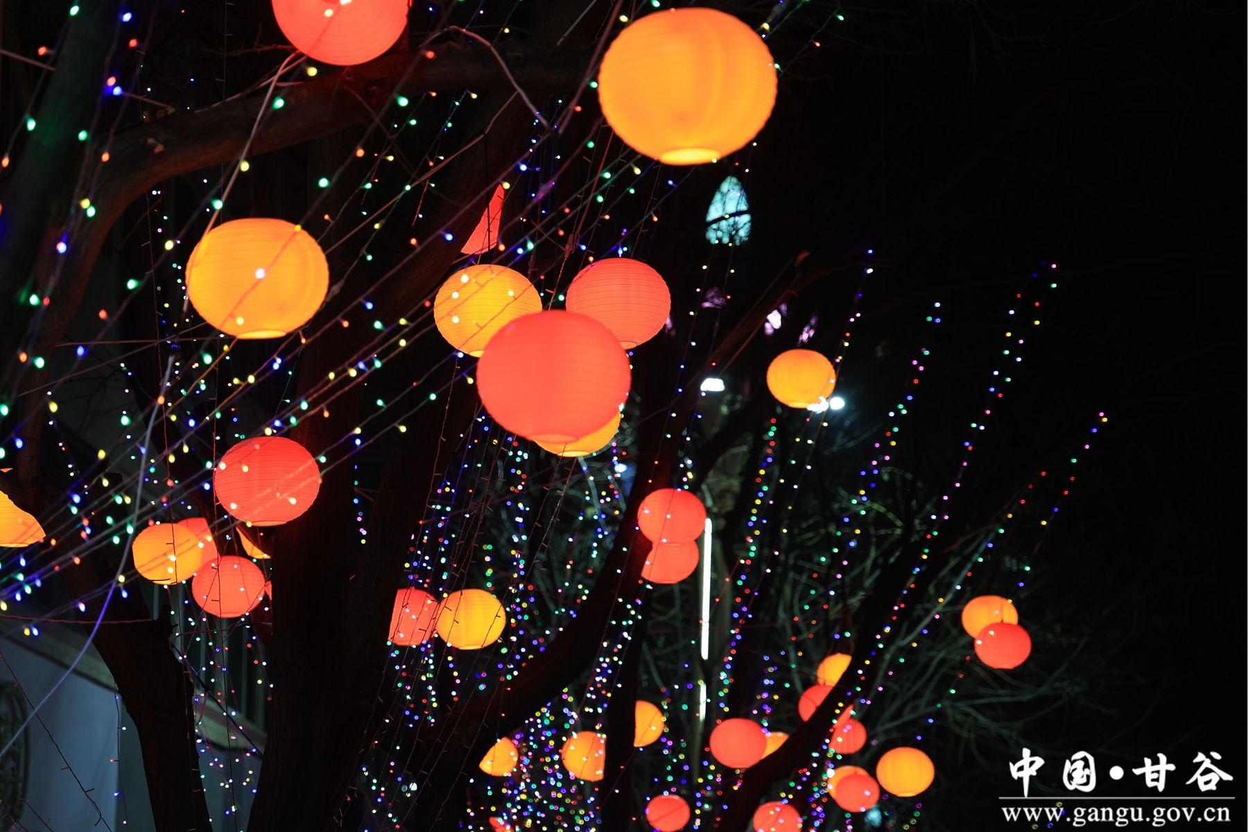 微信图片_20260211094043_405_67 微信图片_20260211094043_405_67