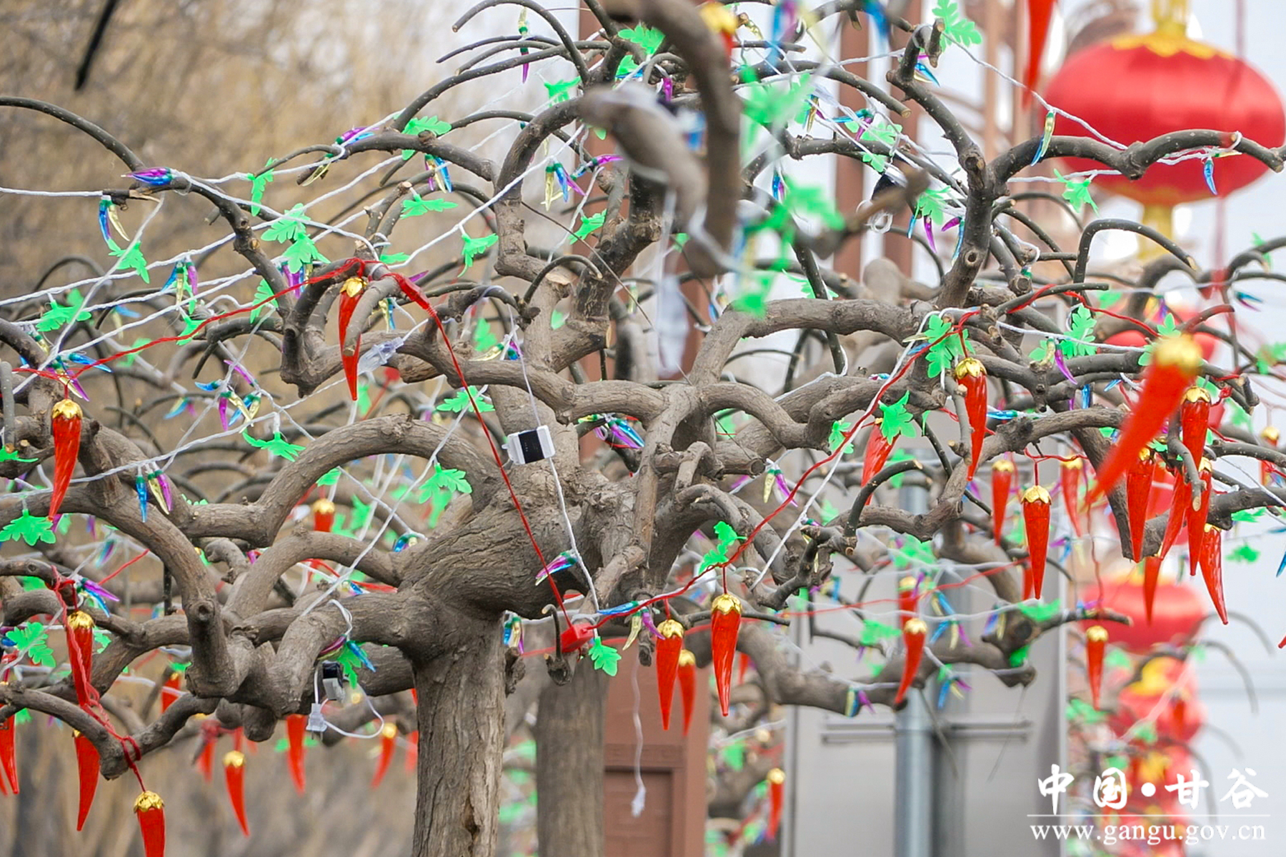 微信图片_20260203114436_189_209 微信图片_20260203114436_189_209