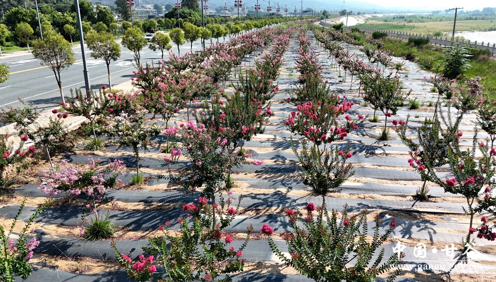 97bf28d95394dca818763f52adf5b43 97bf28d95394dca818763f52adf5b43