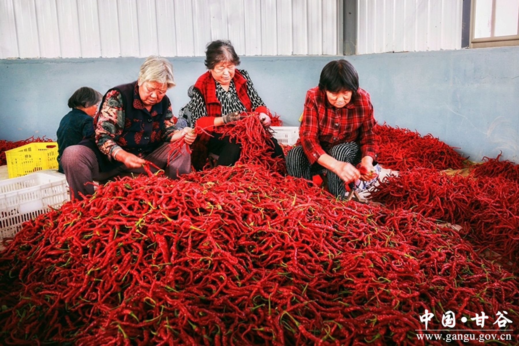 a64b58224f1766108f55f6999deb49c a64b58224f1766108f55f6999deb49c