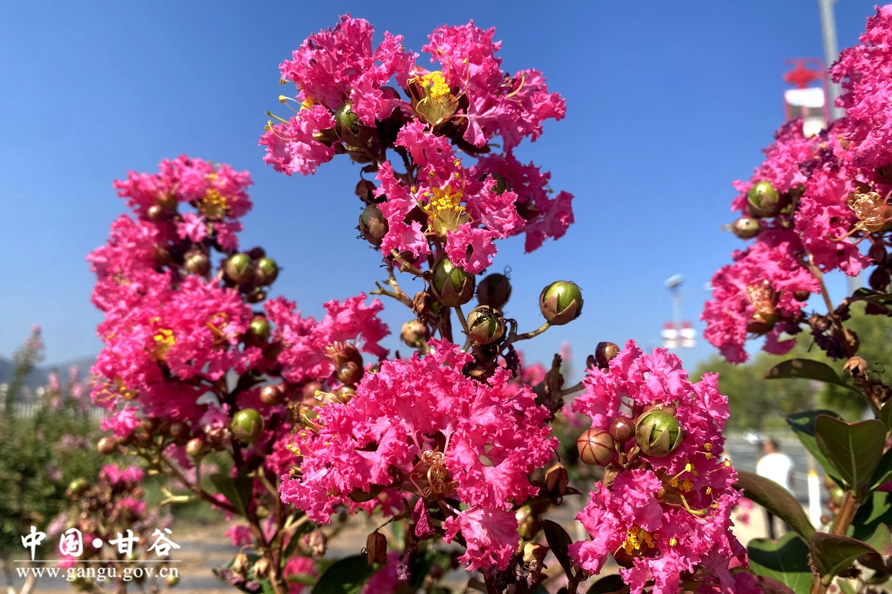 53108a2044d8b57eb8fe230fca10993 53108a2044d8b57eb8fe230fca10993