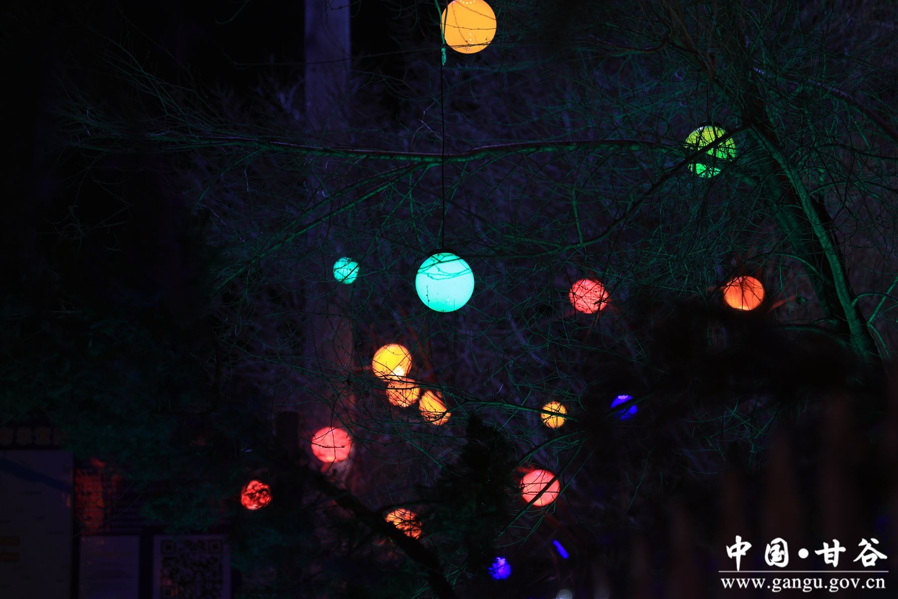 微信图片_20260211094053_410_67 微信图片_20260211094053_410_67