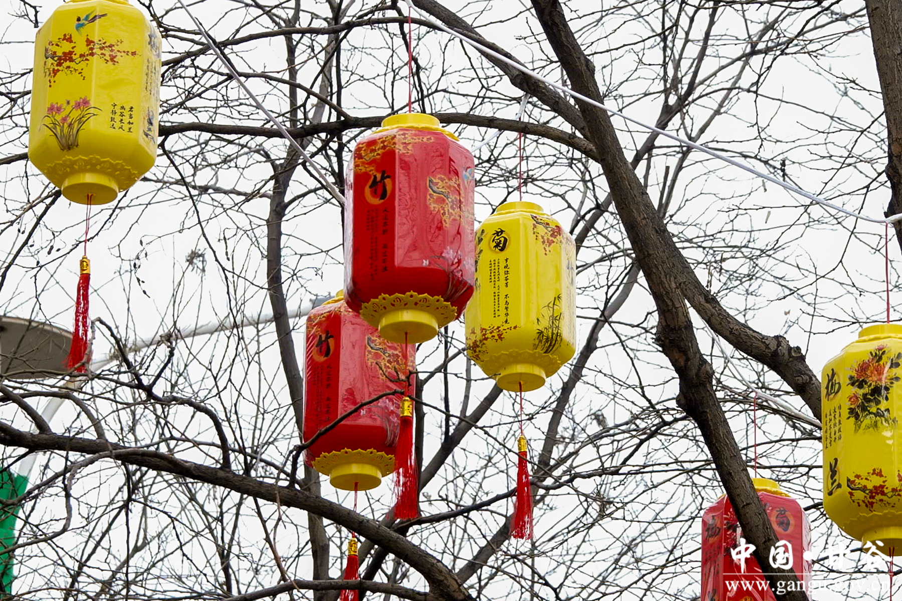 微信图片_20260203114437_191_209 微信图片_20260203114437_191_209