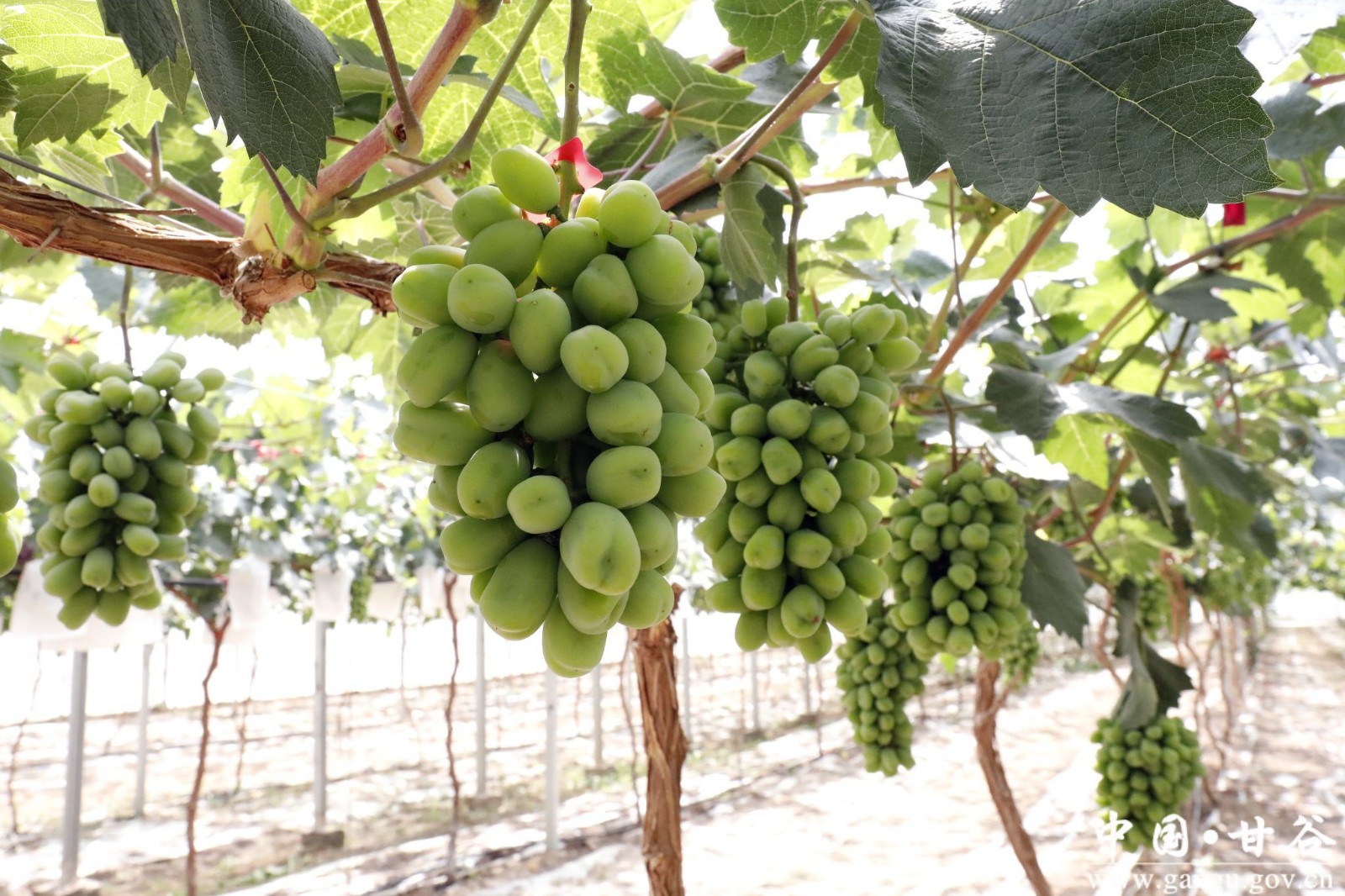 5AE3C2EDF73BFCD310BC7D4E968_D683F5E2_6306A 5AE3C2EDF73BFCD310BC7D4E968_D683F5E2_6306A