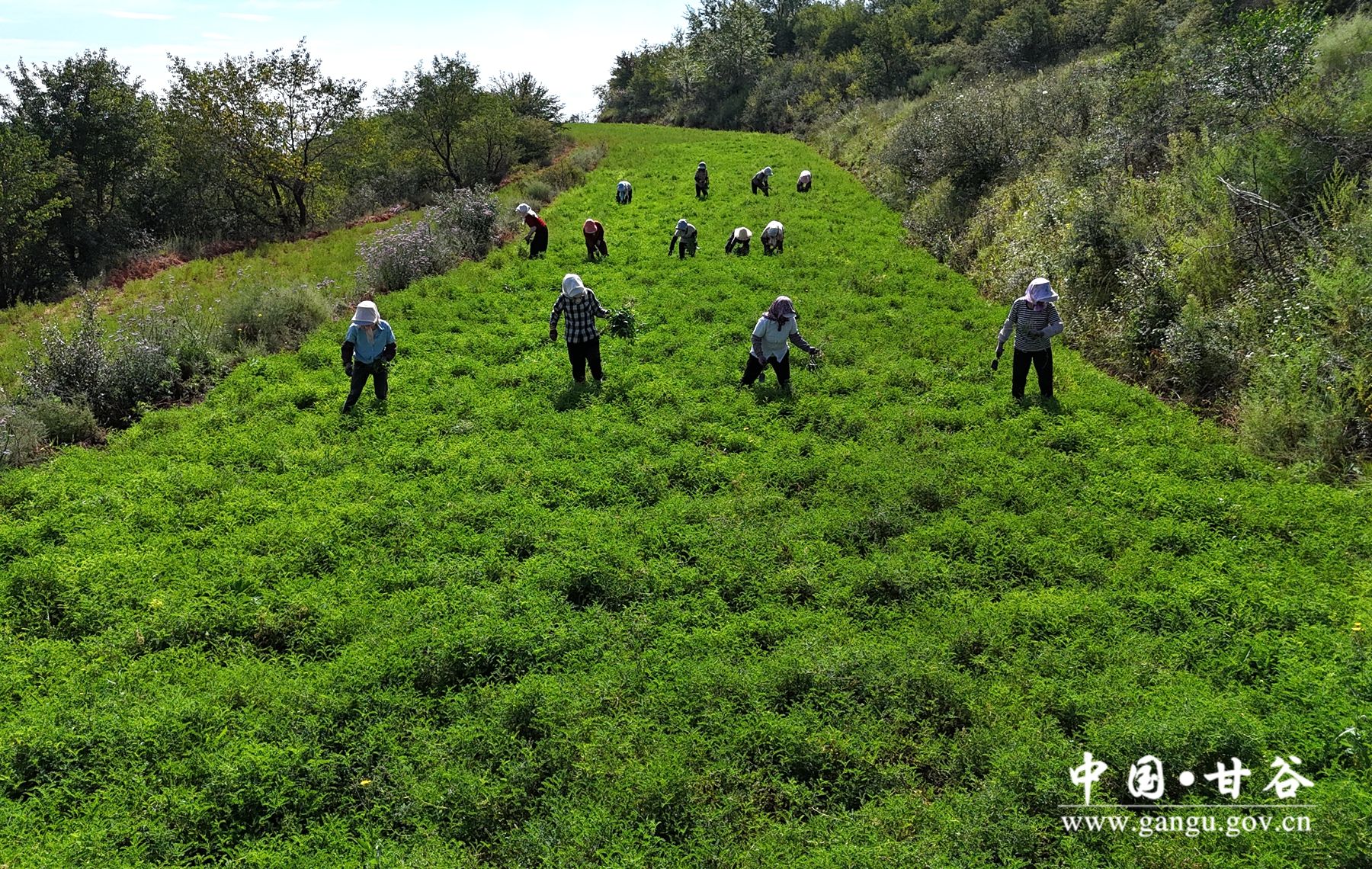 38b2234bde326784ad81c5cd977c6f1 38b2234bde326784ad81c5cd977c6f1