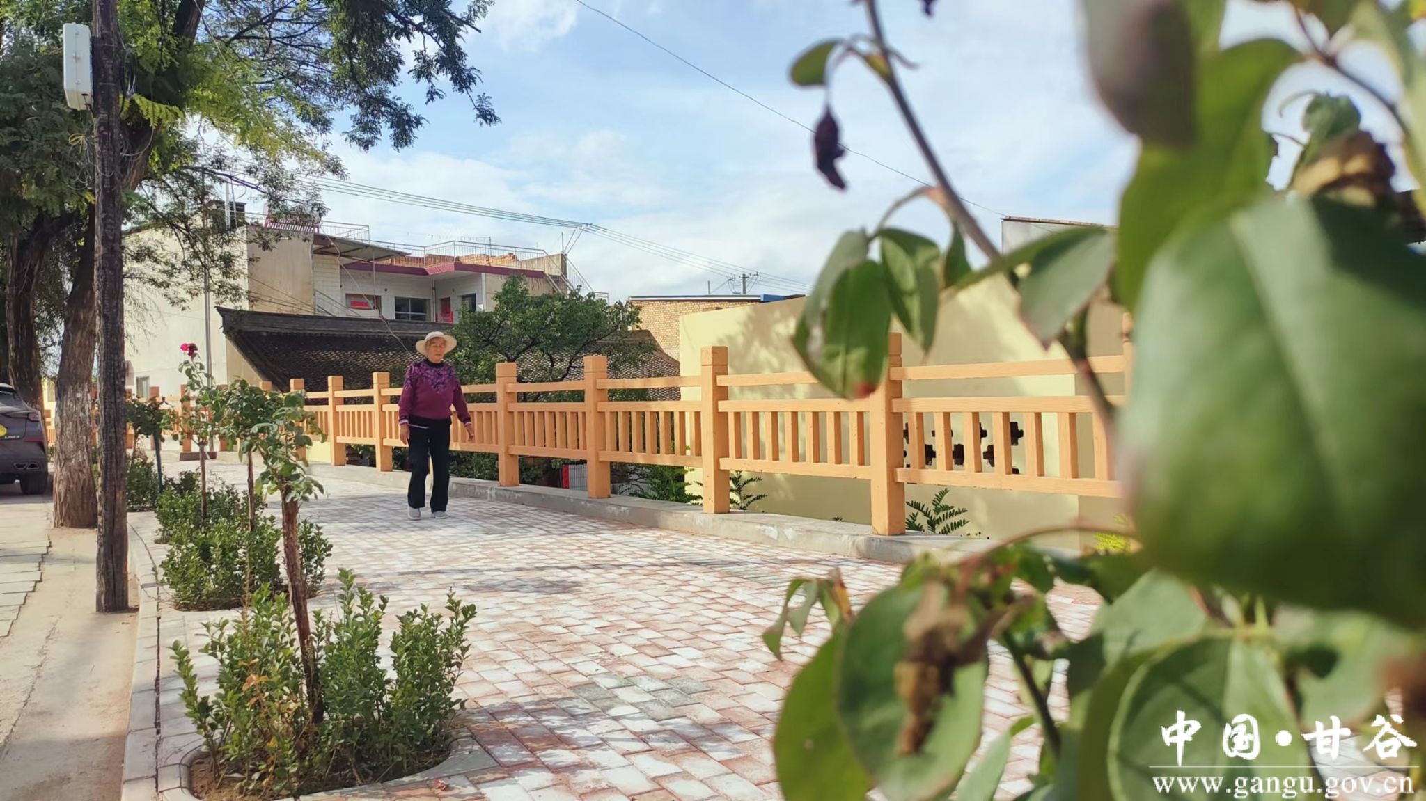 1704360475854033856.jpg 1704360475854033856.jpg