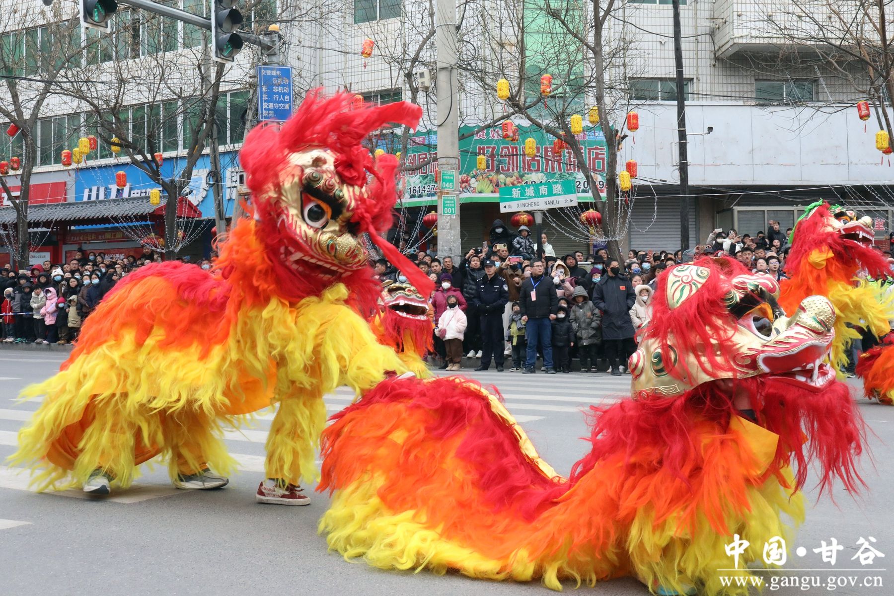 IMG_6513_副本 IMG_6513_副本