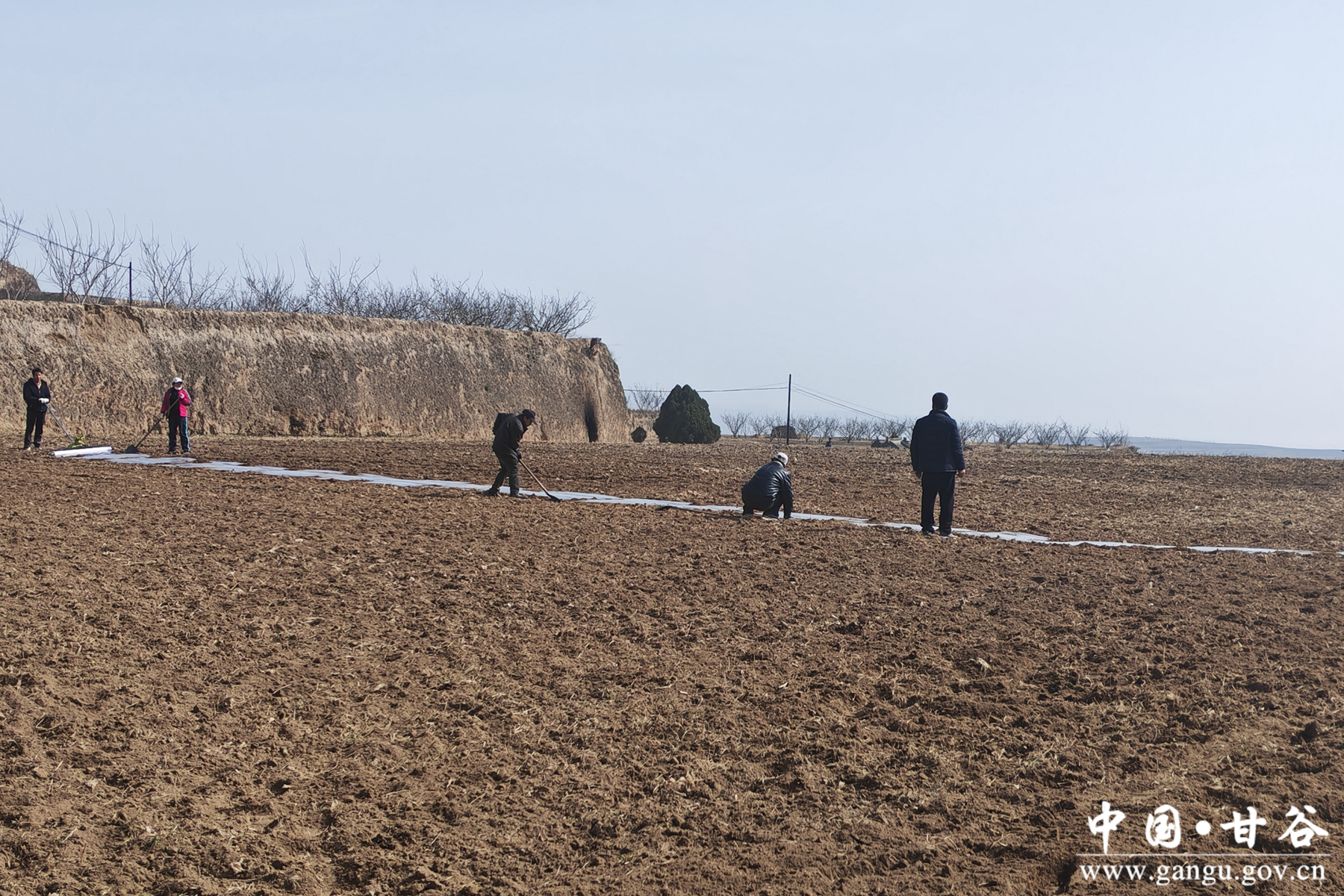 微信图片_20260227090601_12_35 微信图片_20260227090601_12_35