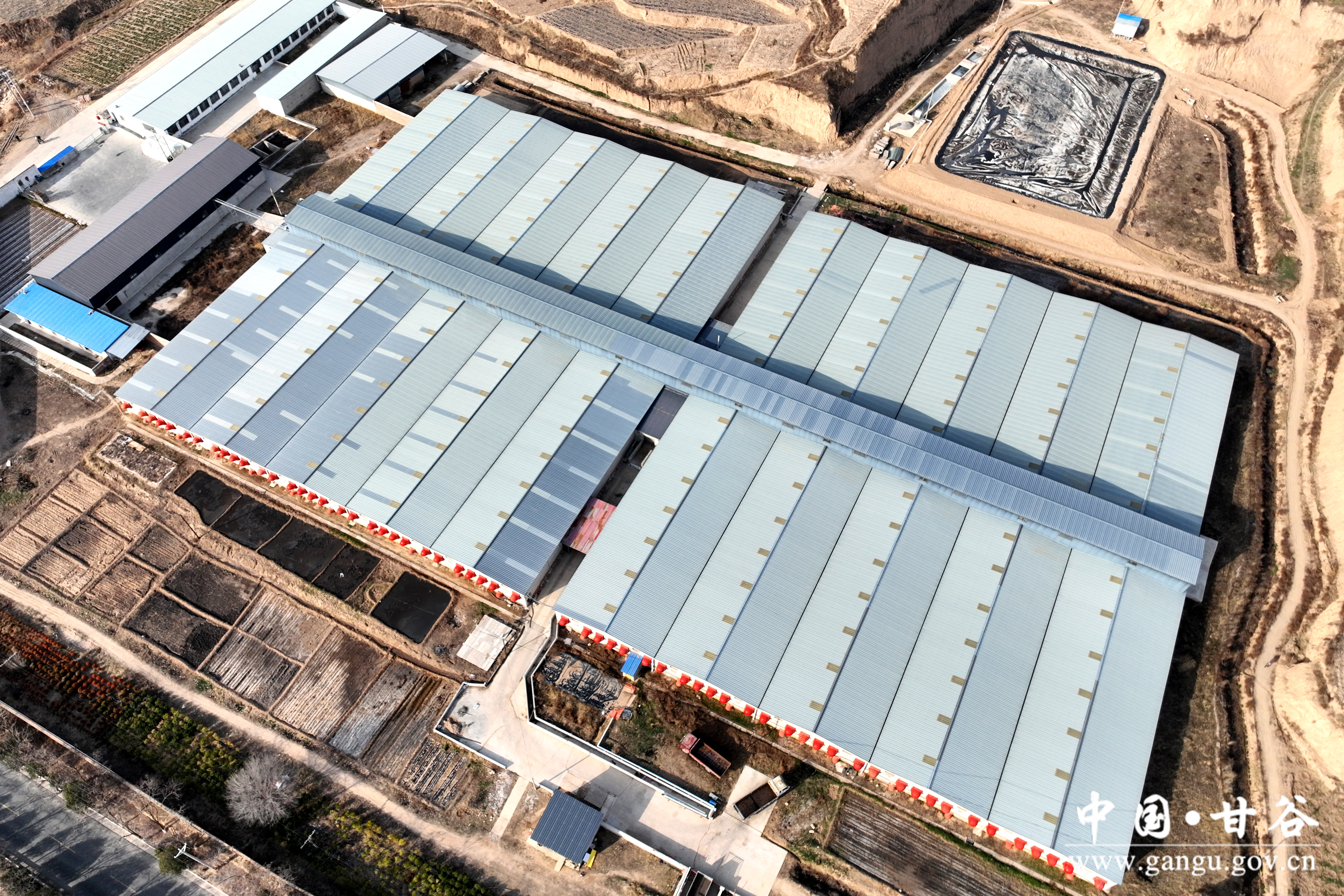 1742430536810093115.jpg 1742430536810093115.jpg