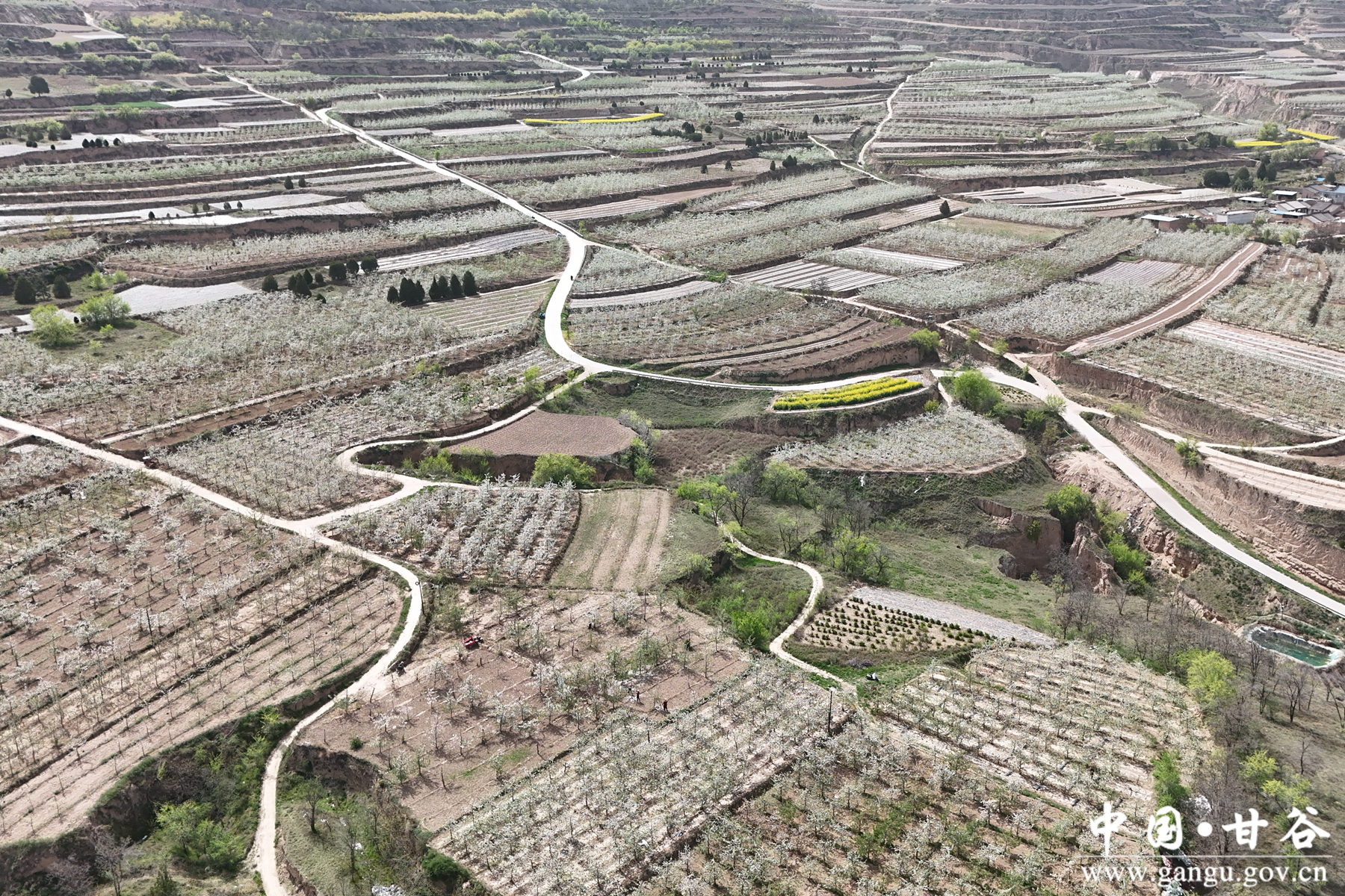 微信图片_20260424102613_16_148 微信图片_20260424102613_16_148