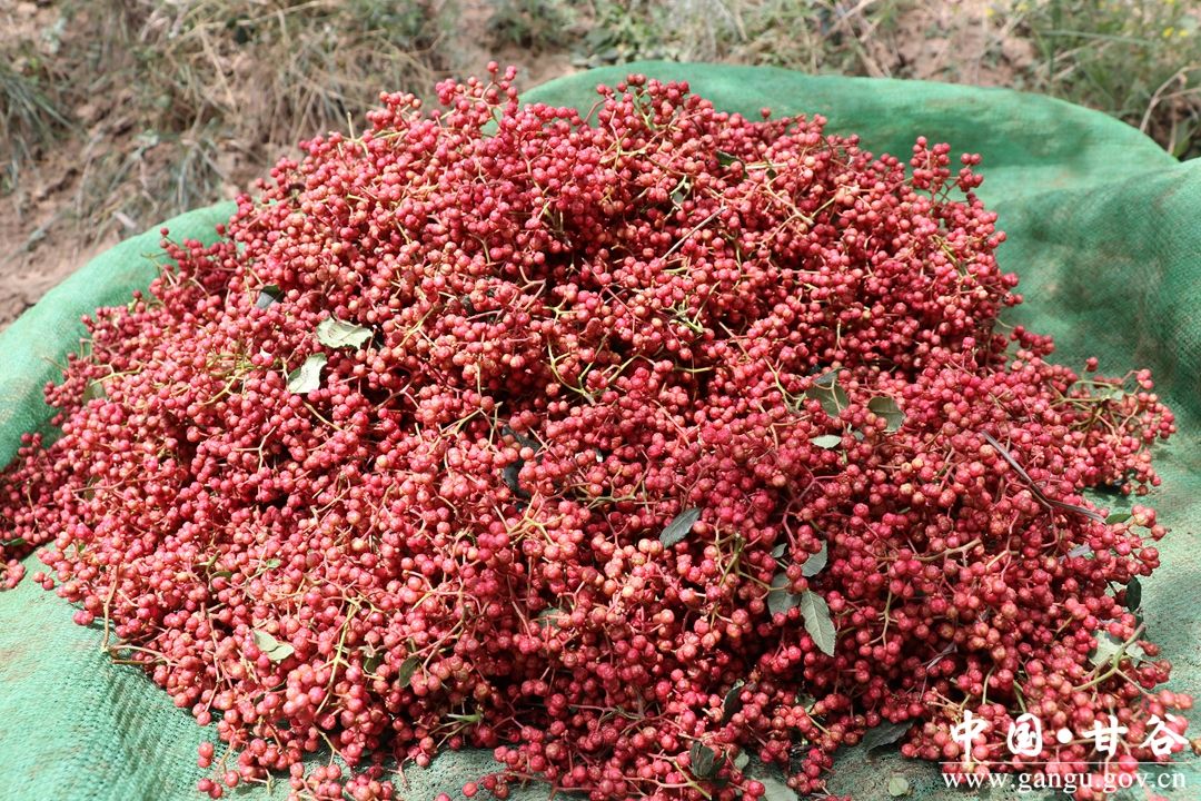 1705022238050071304.jpg 2345_image_file_copy_3.jpg