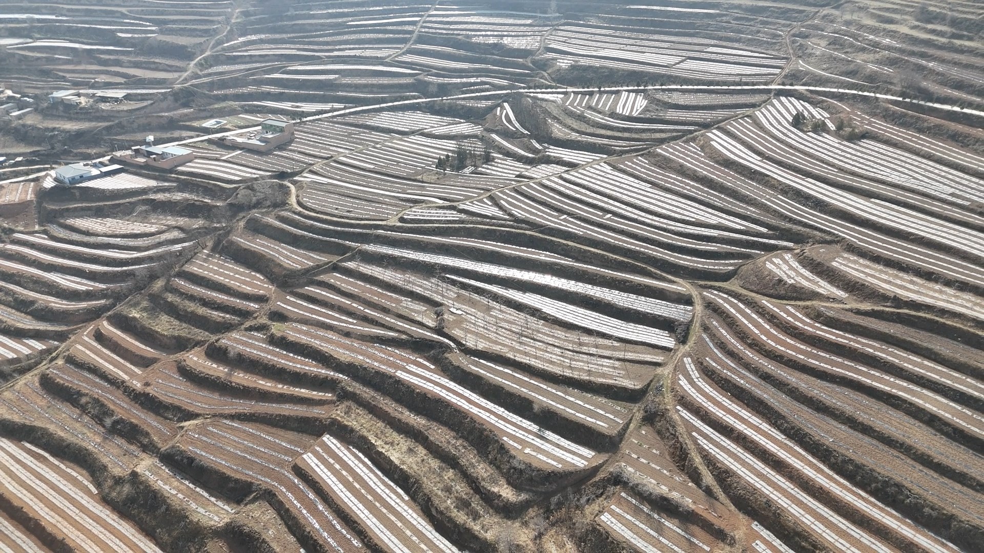 1774404091086085435.jpg 1774404091086085435.jpg